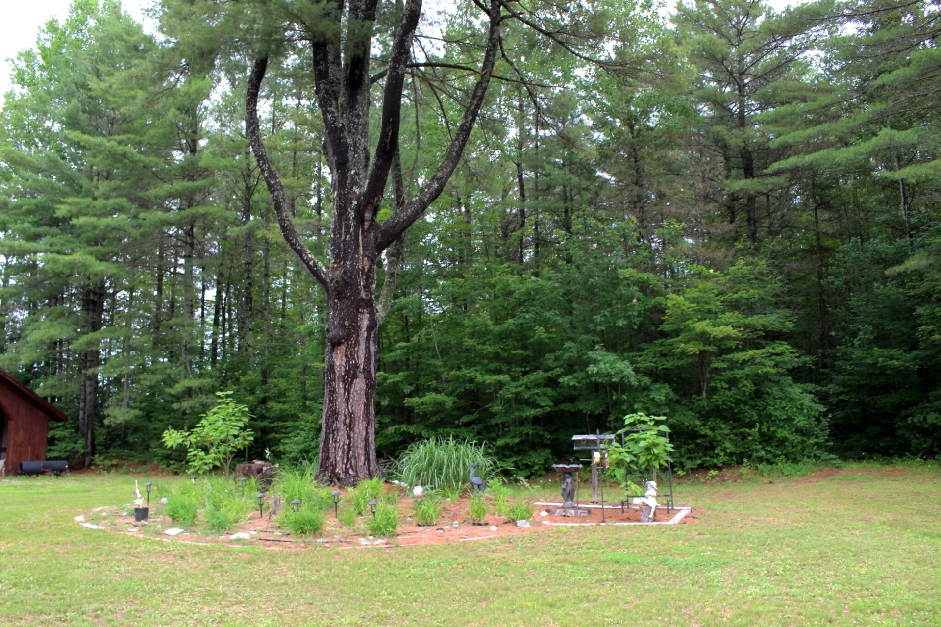 Land/Lot