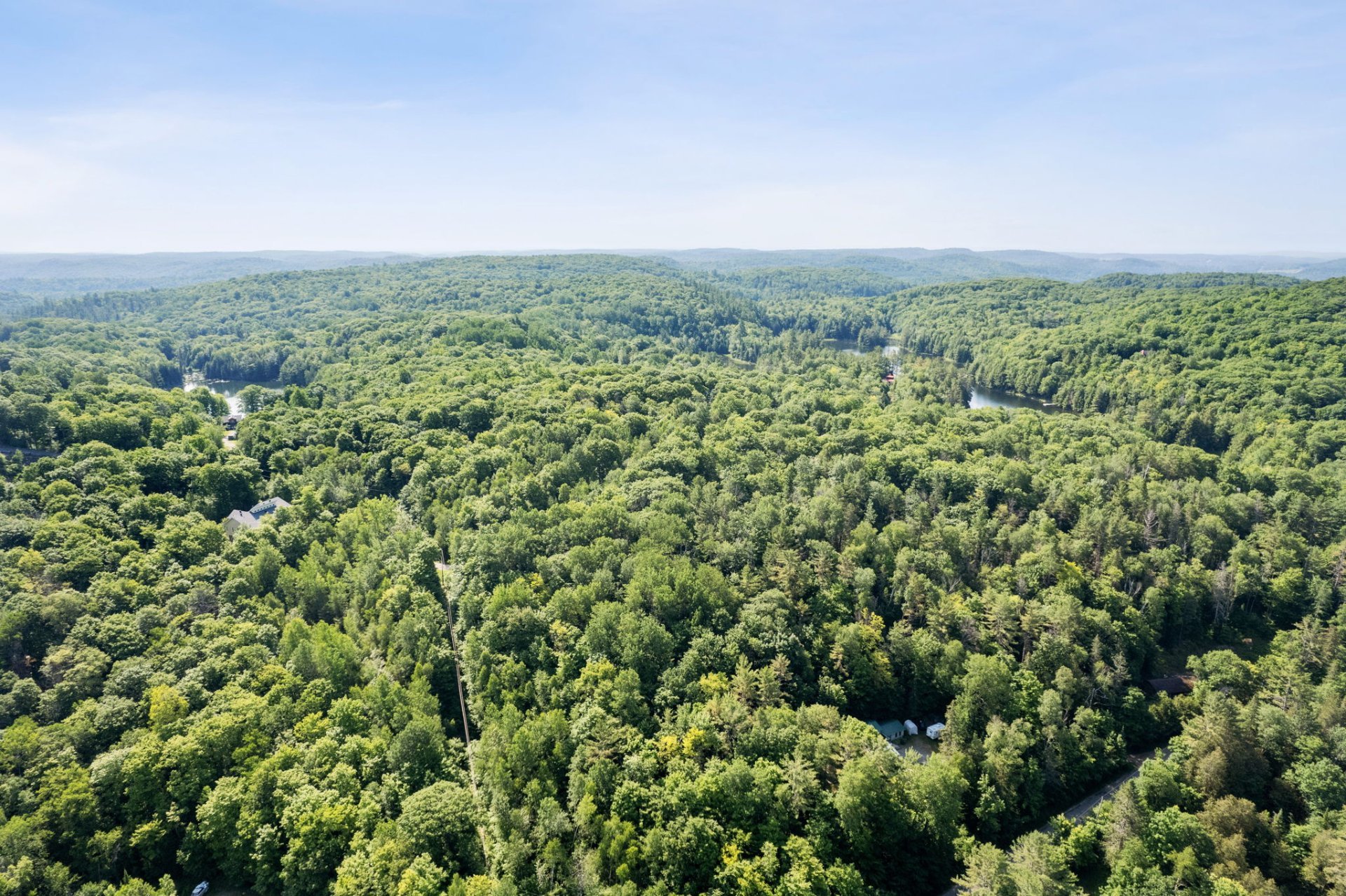 Land/Lot