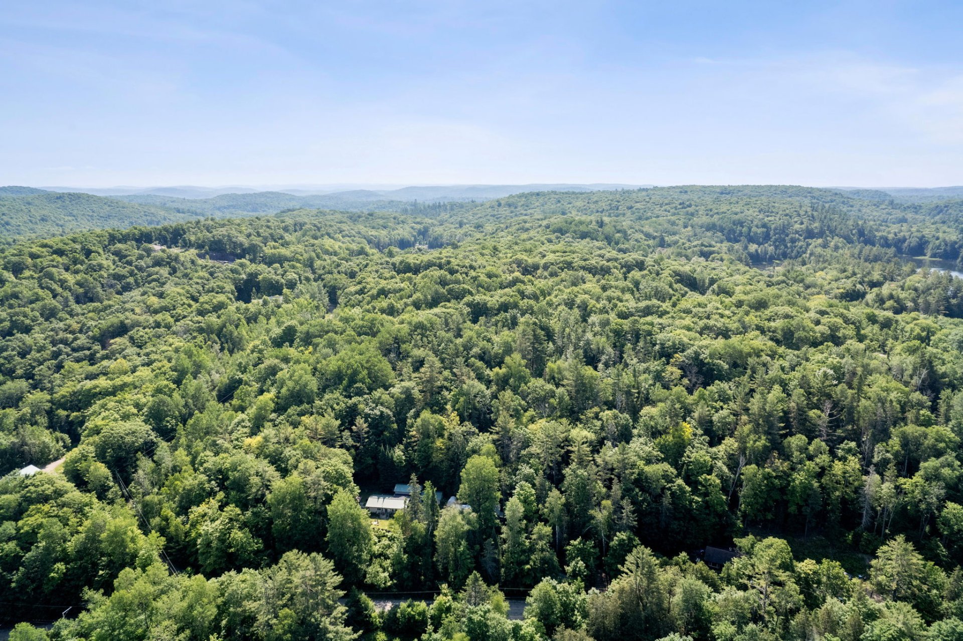 Land/Lot