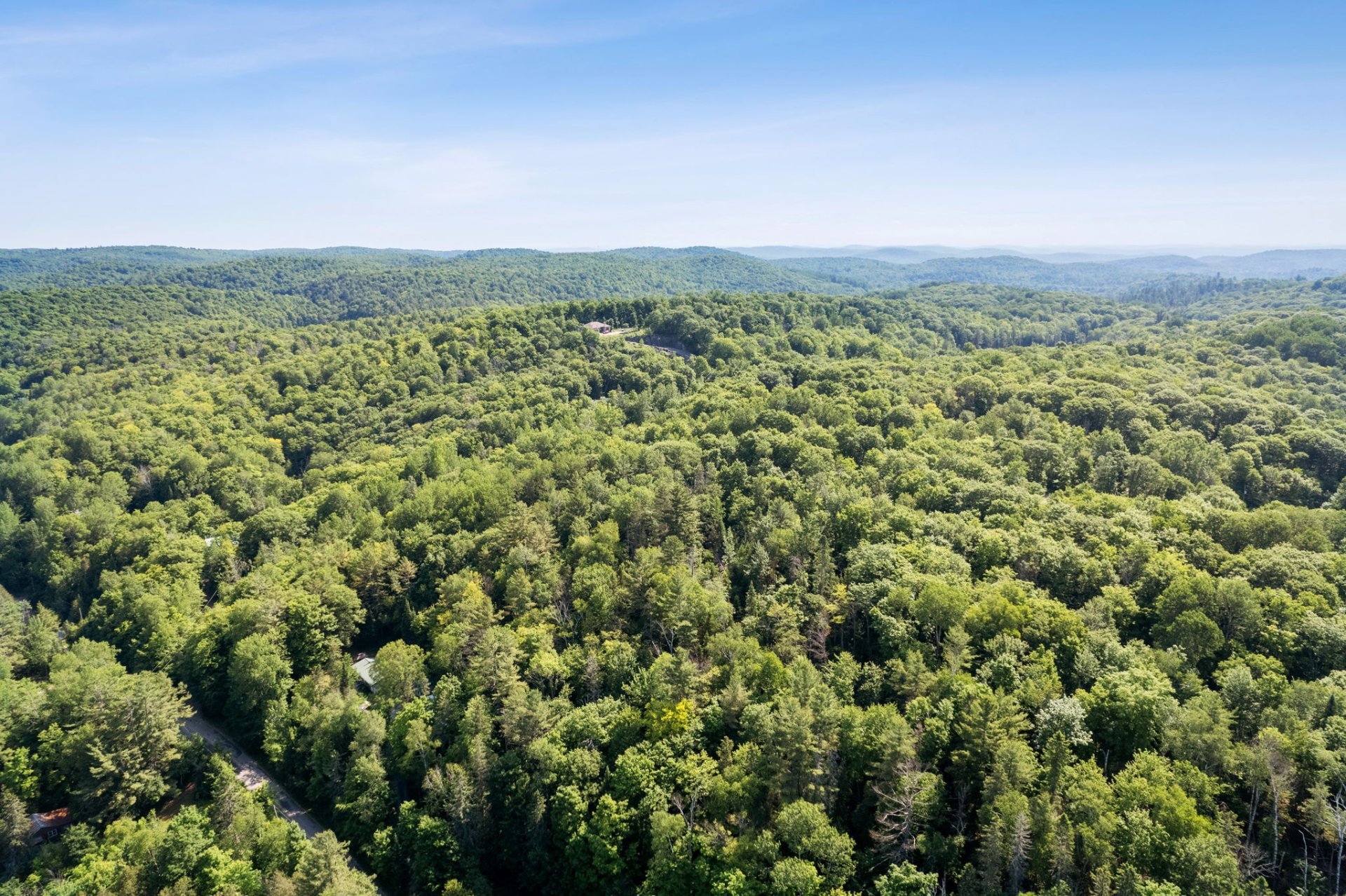 Land/Lot