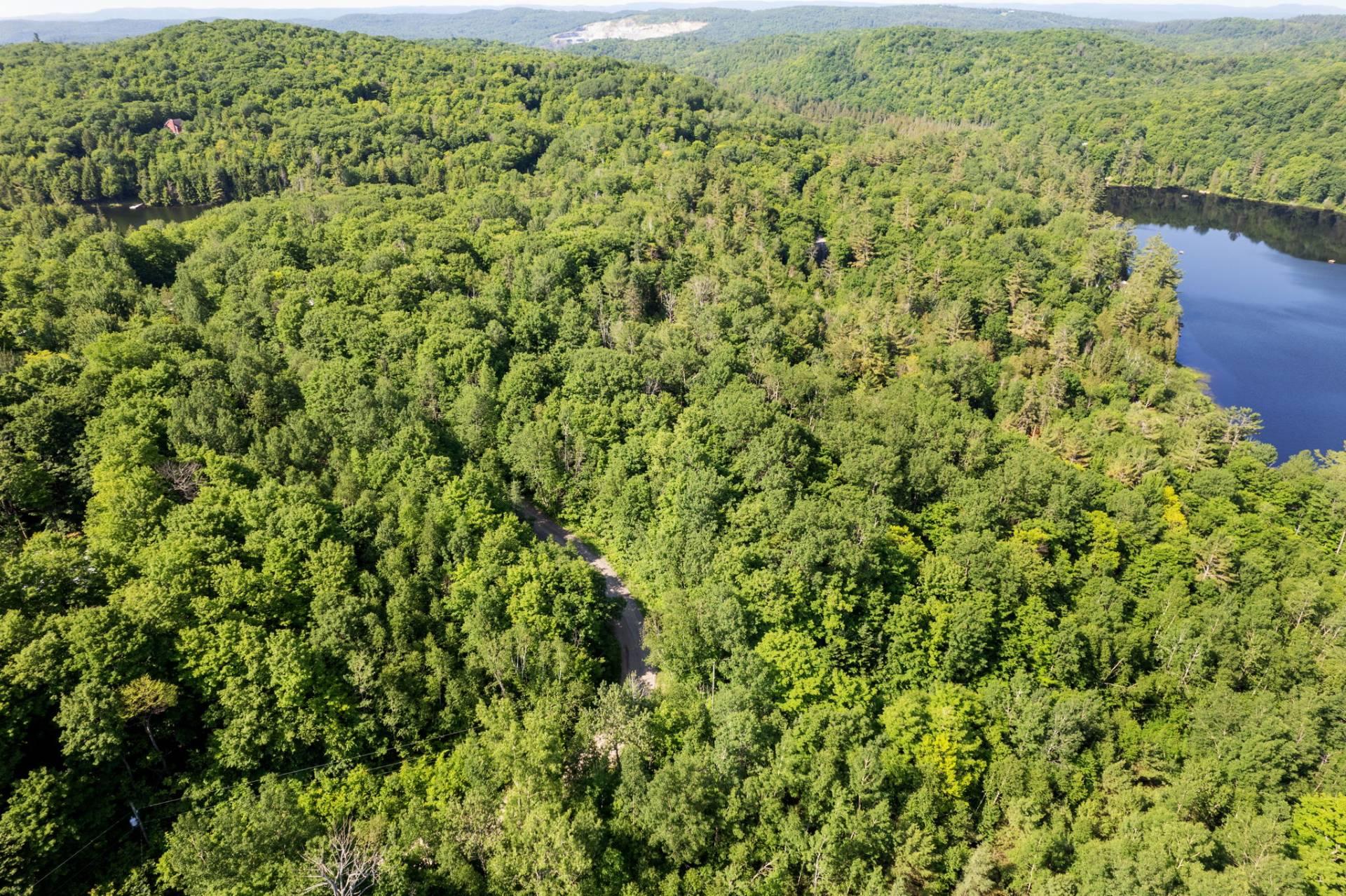 Land/Lot