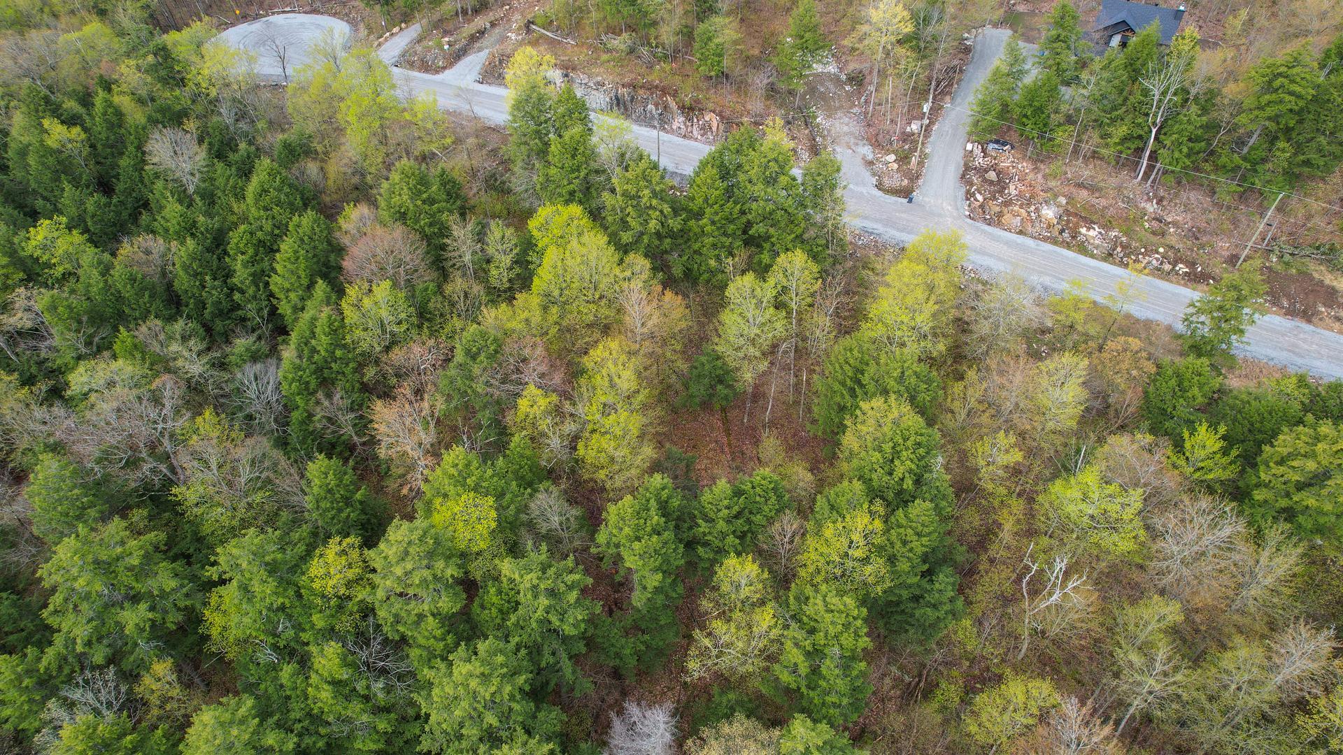 Overall View