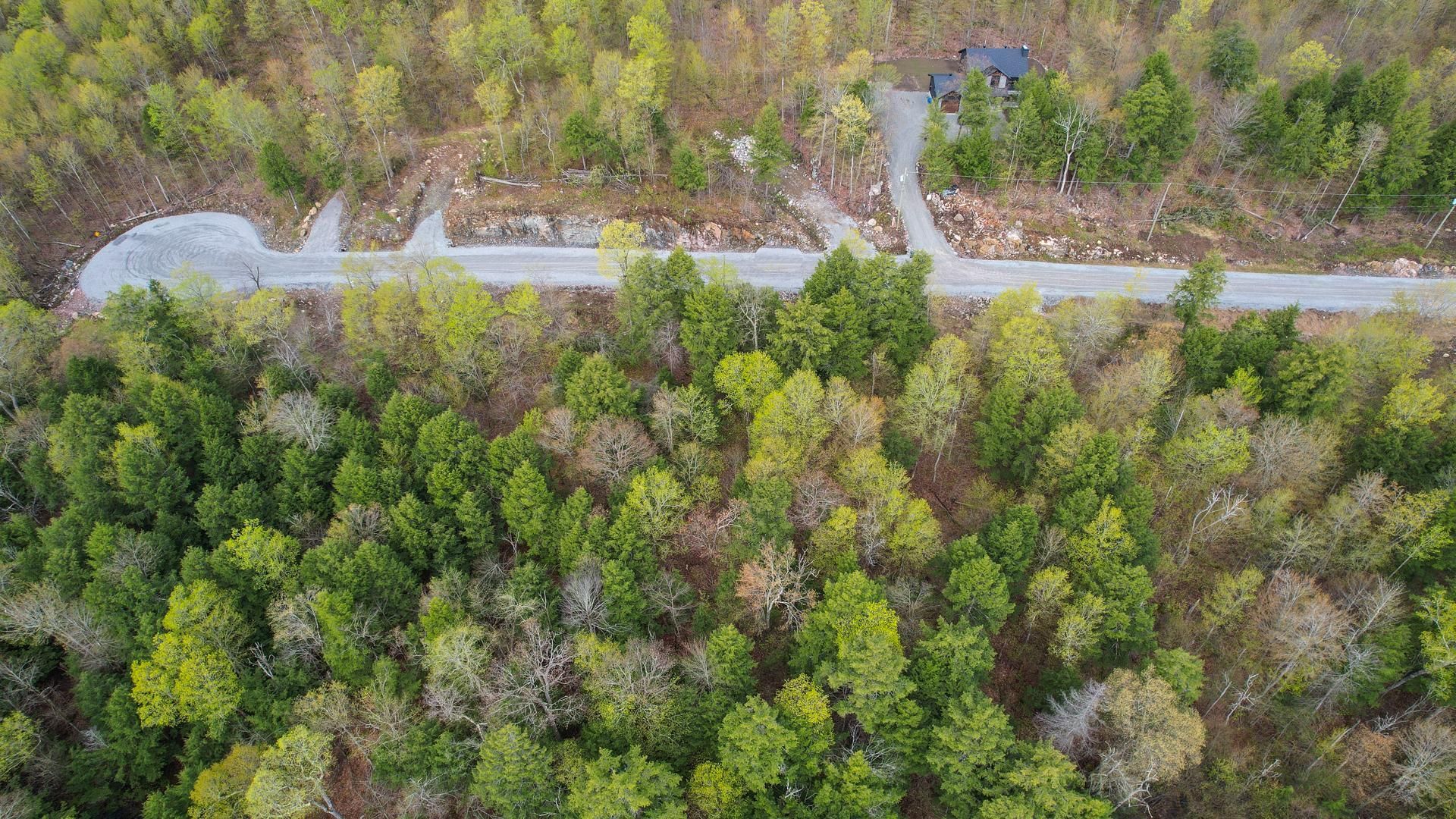 Overall View
