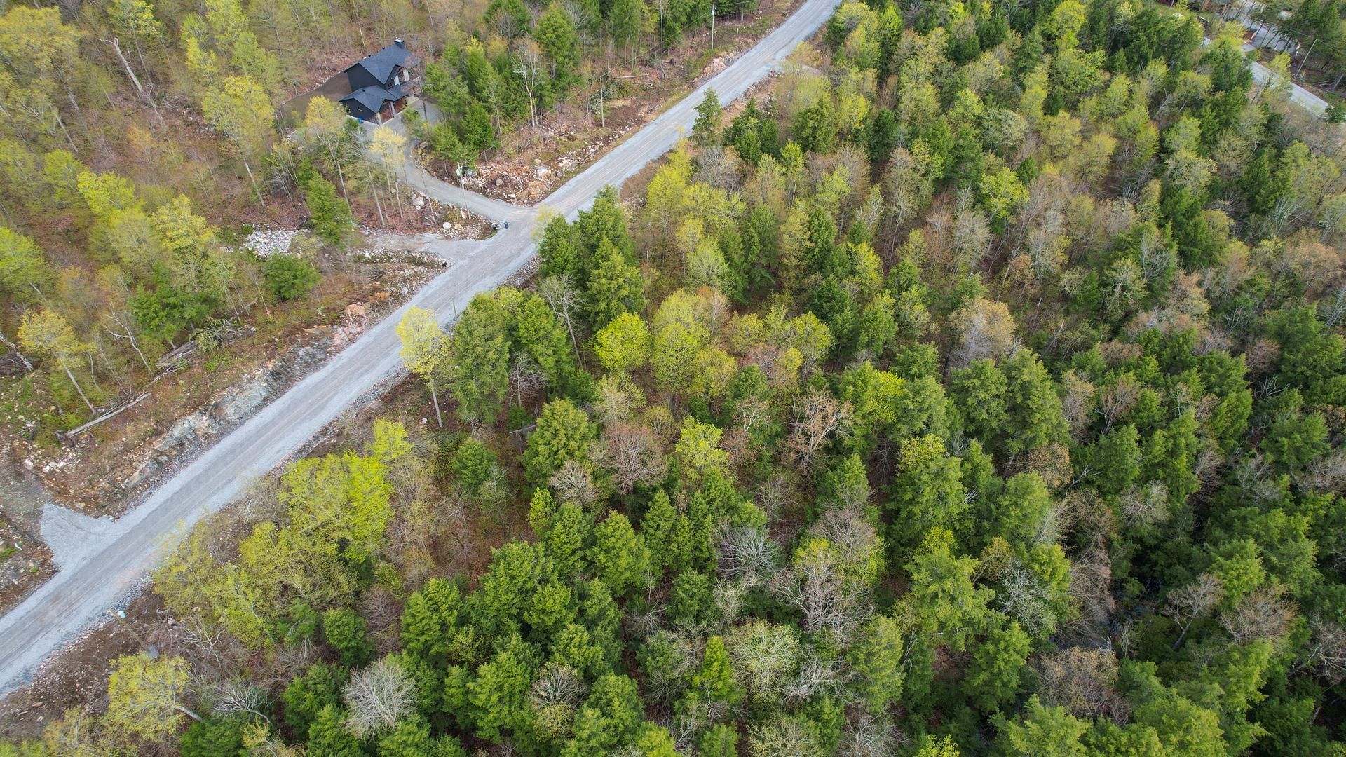 Overall View