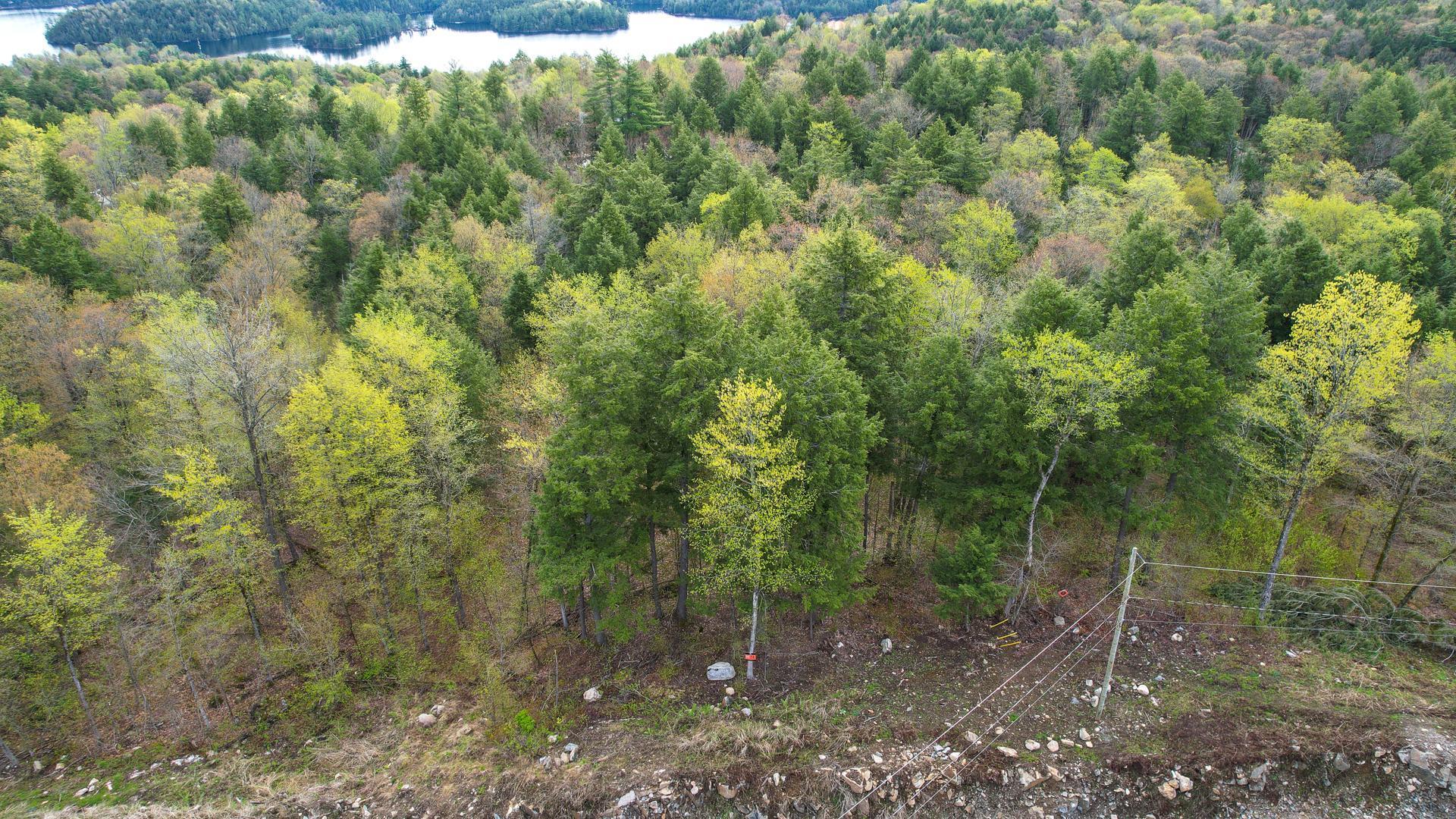 Overall View