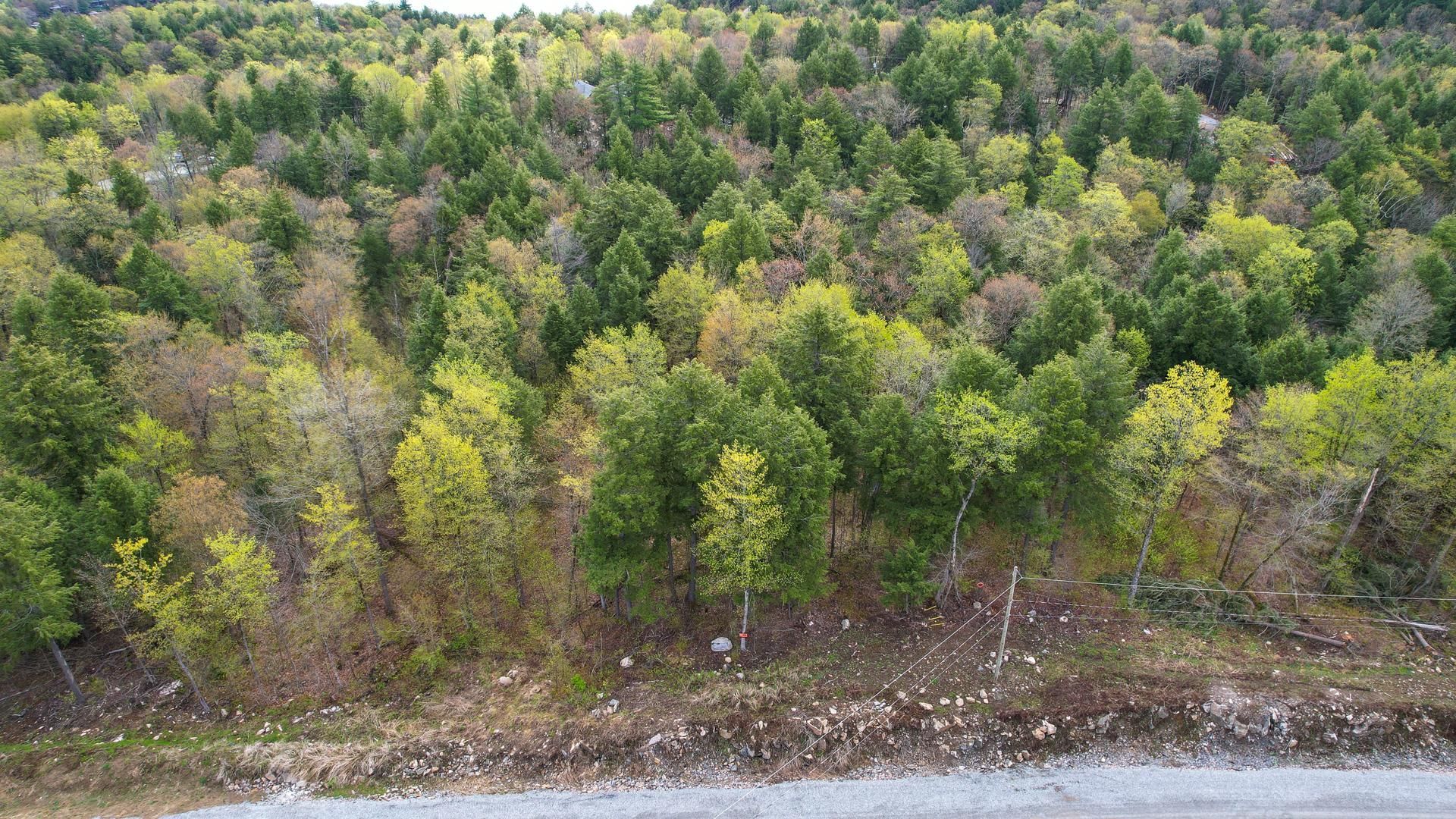 Overall View