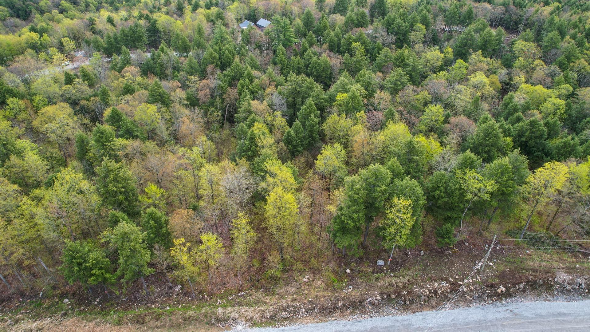 Overall View