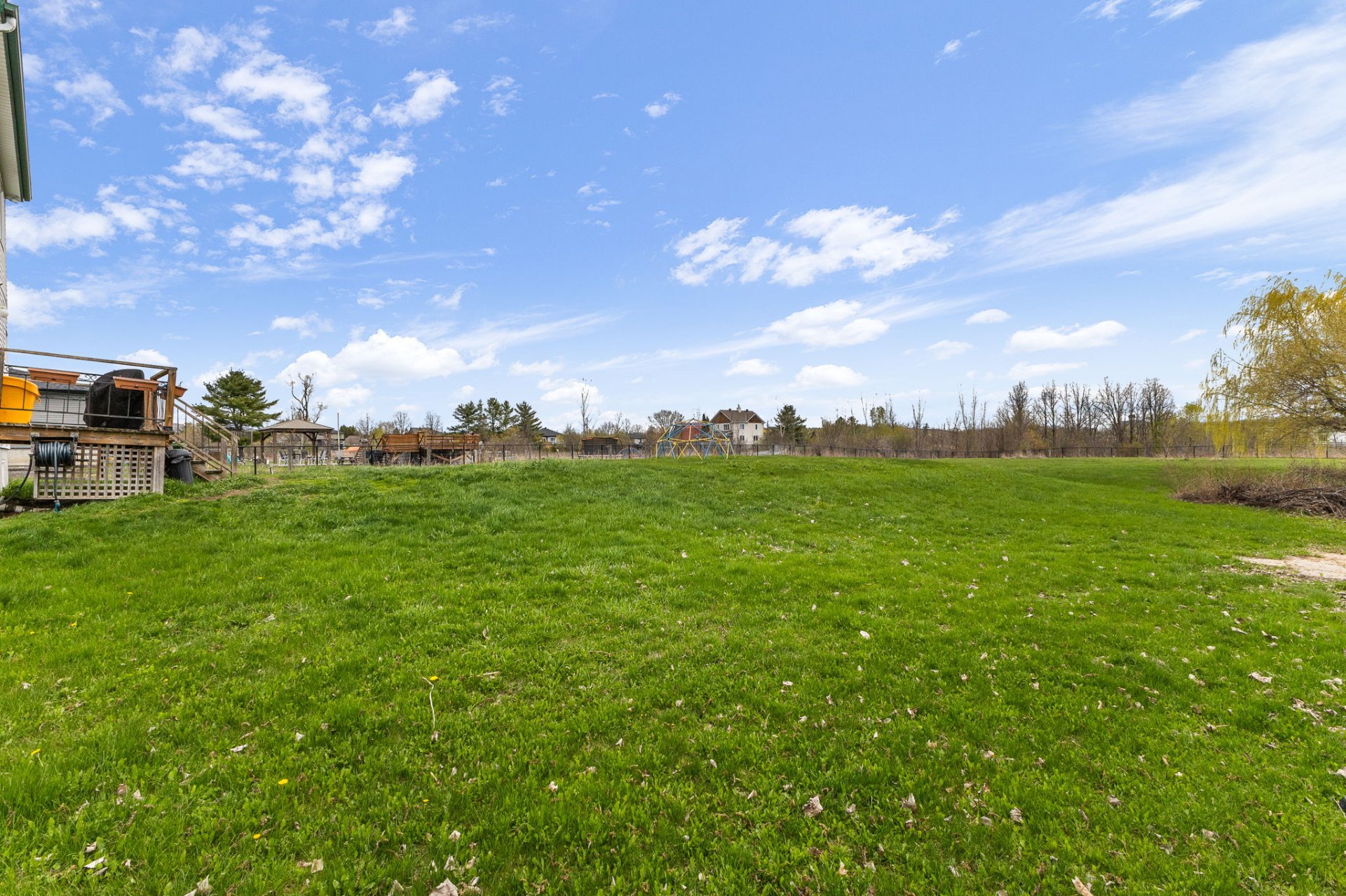 Backyard