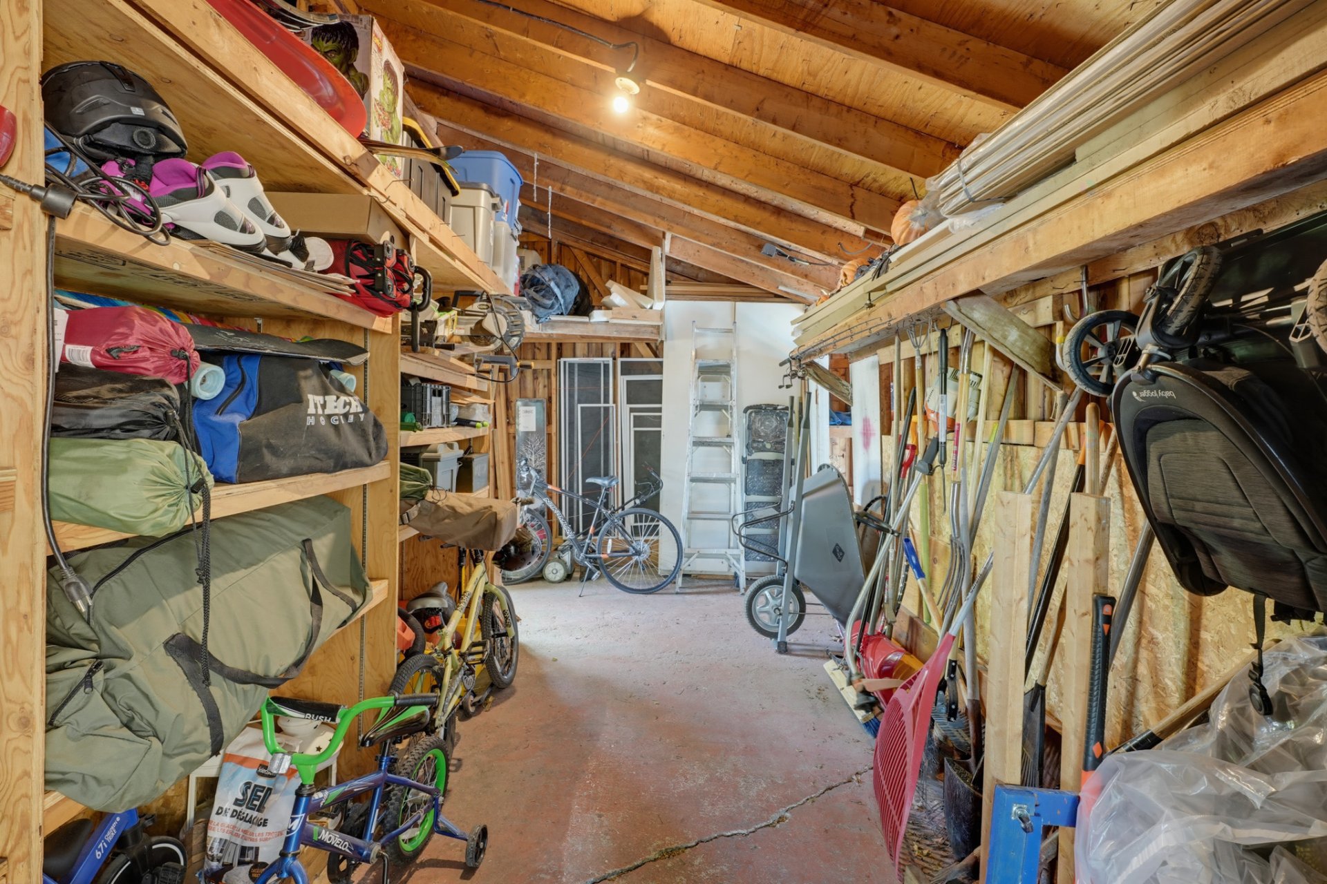 Shed