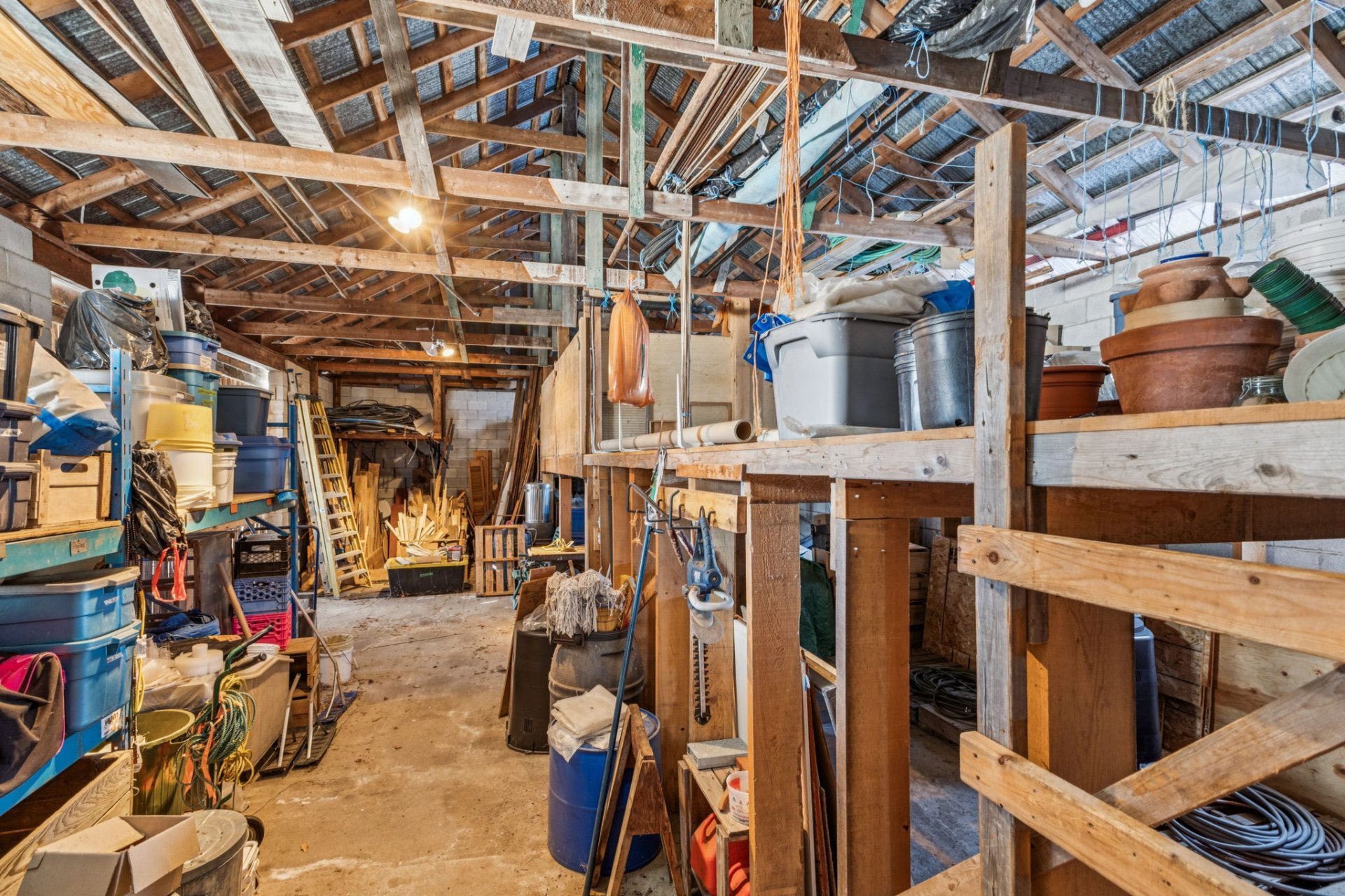 Shed