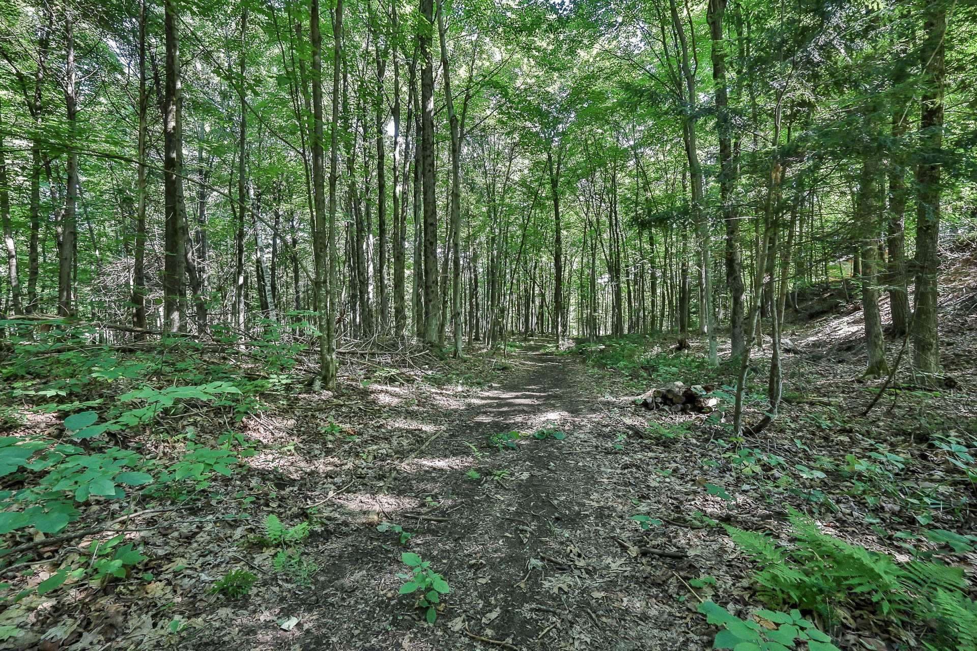 Autre - Sentier