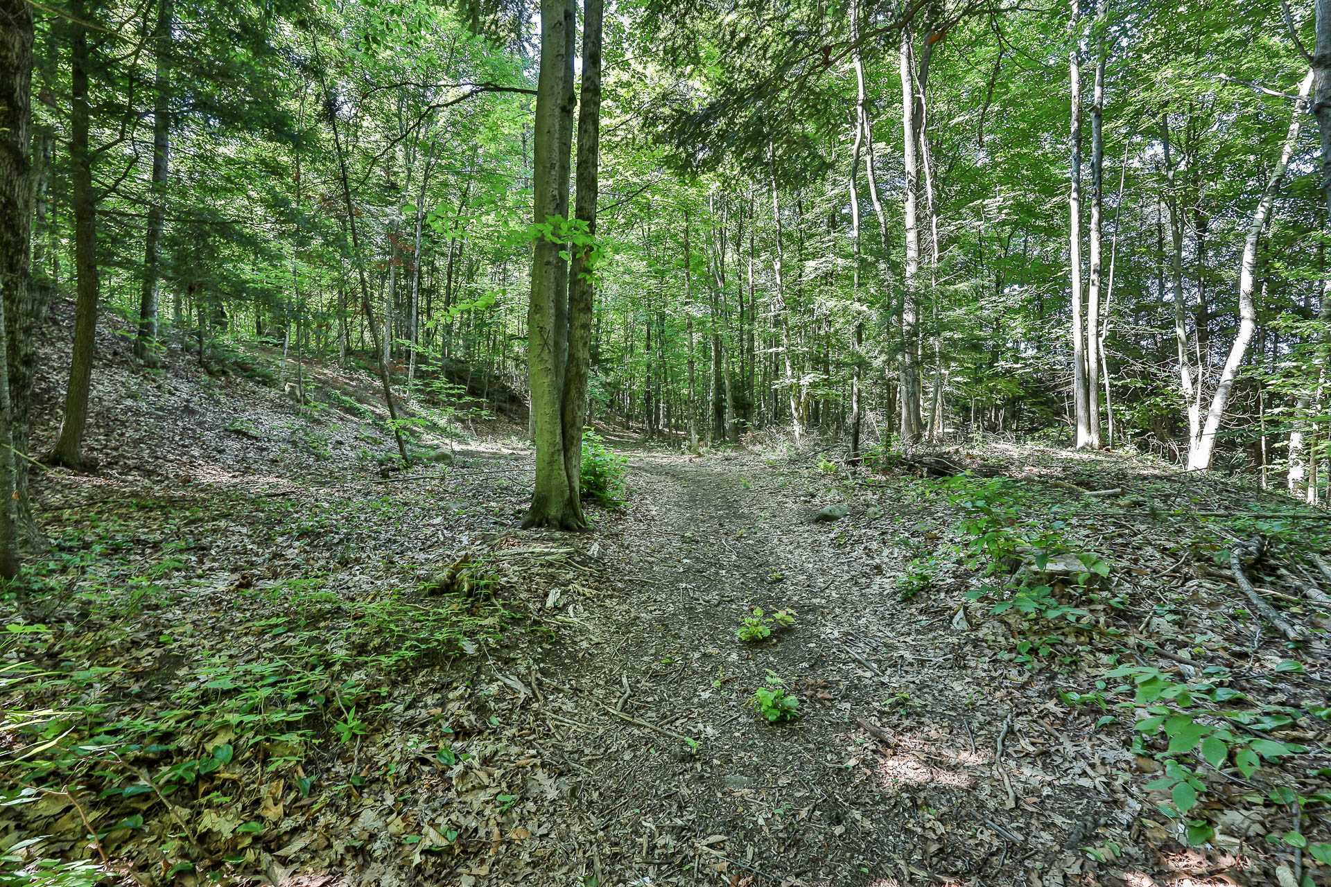 Autre - Sentier