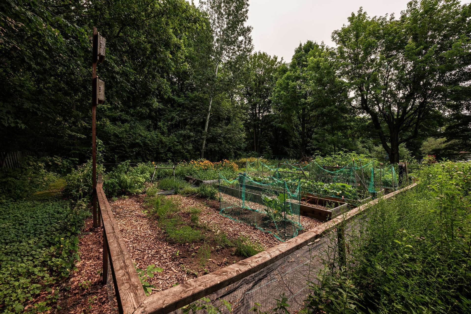 Jardin