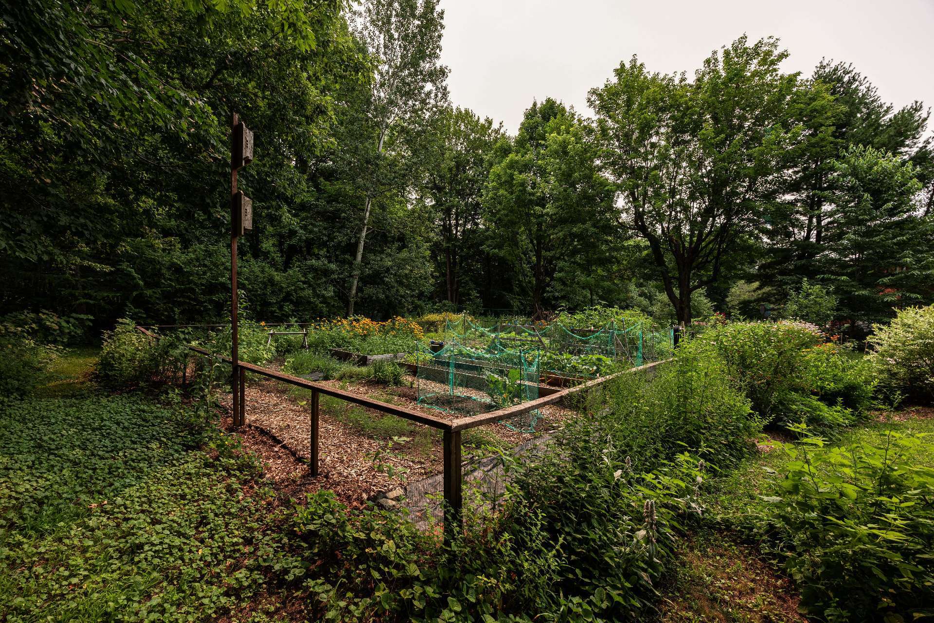 Jardin