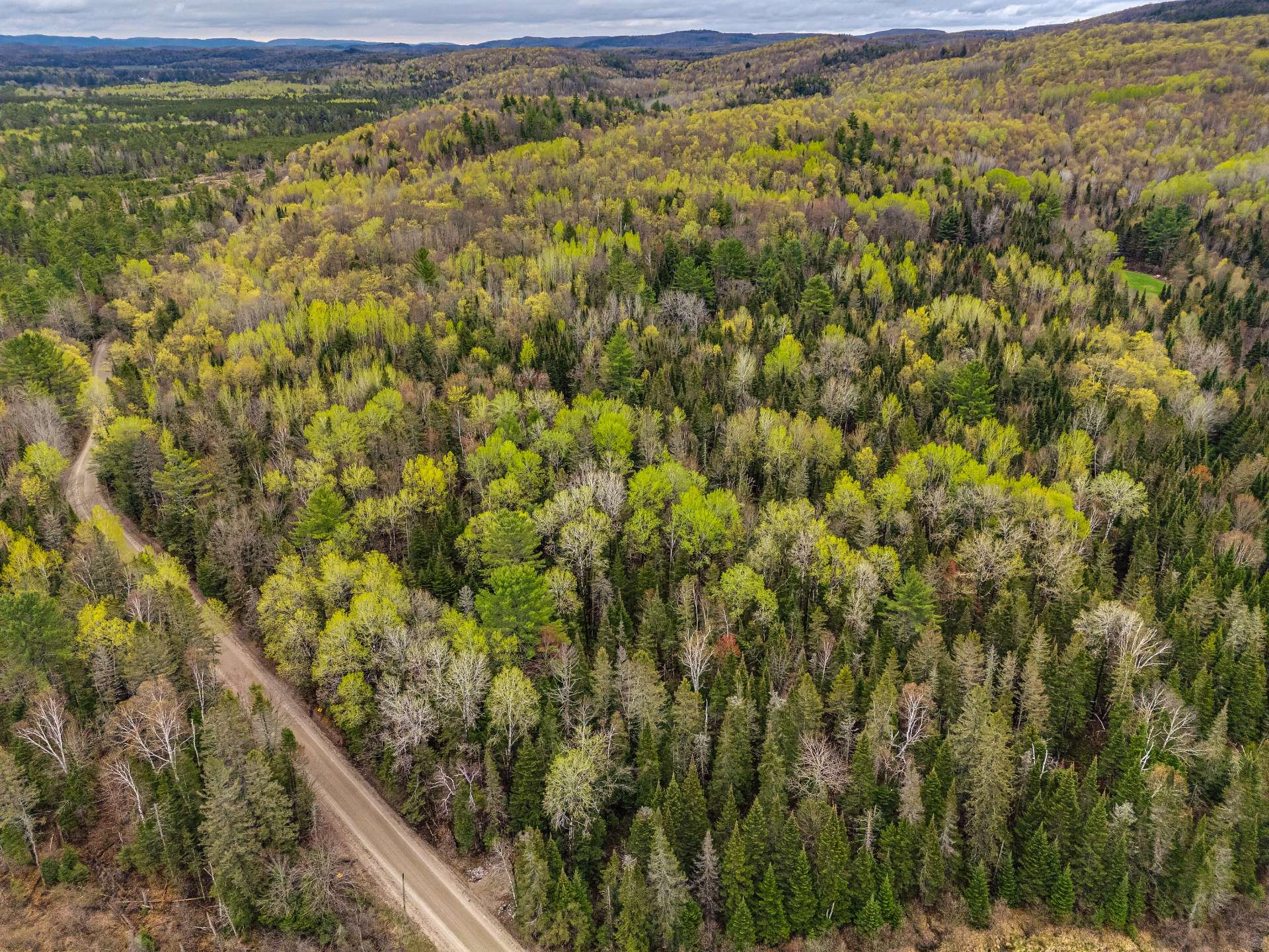 Aerial photo