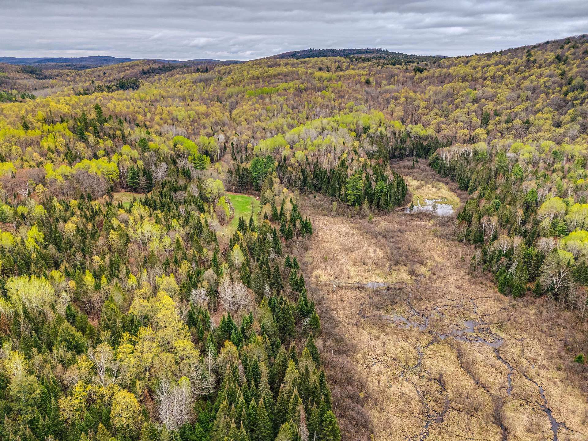 Aerial photo