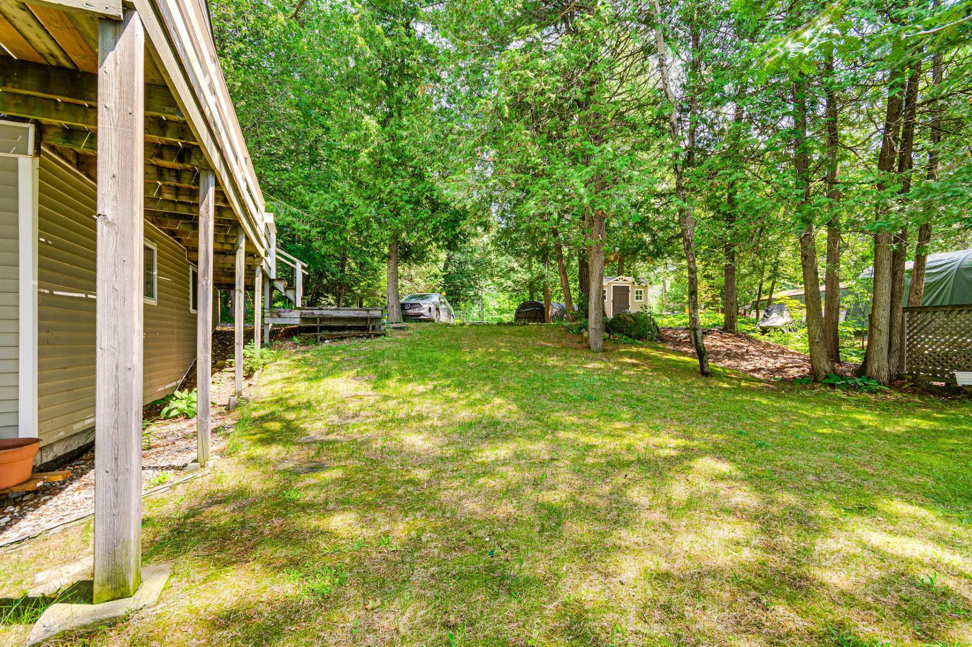 Backyard