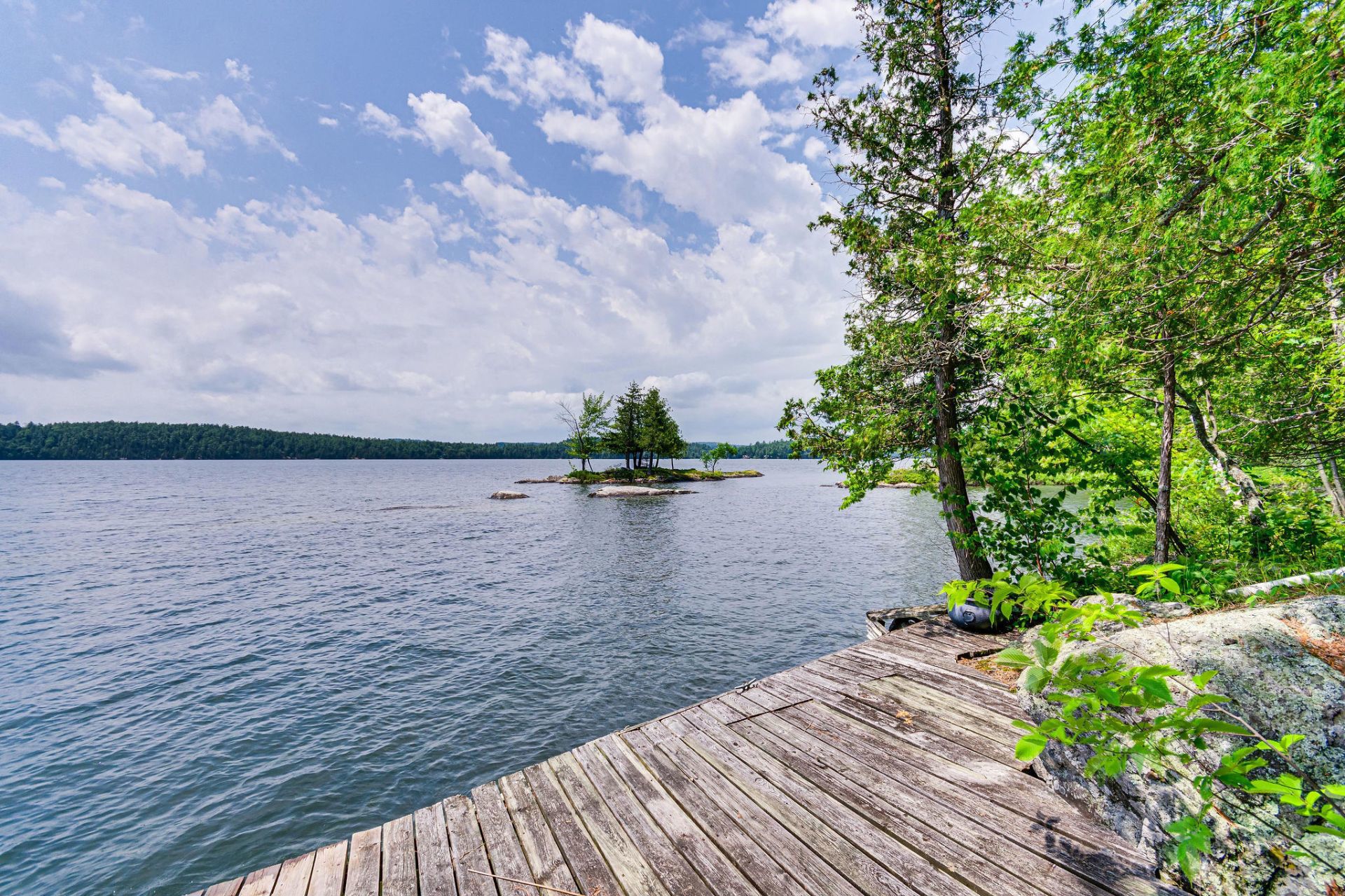 Water view
