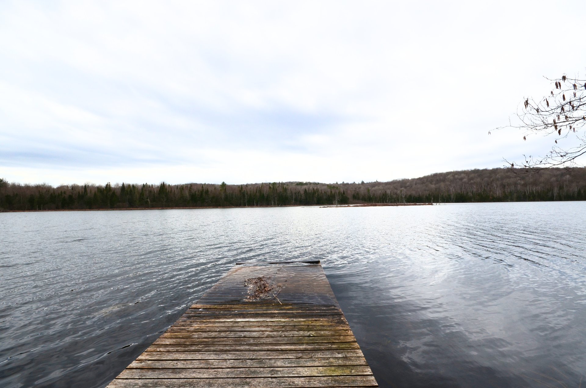 Waterfront