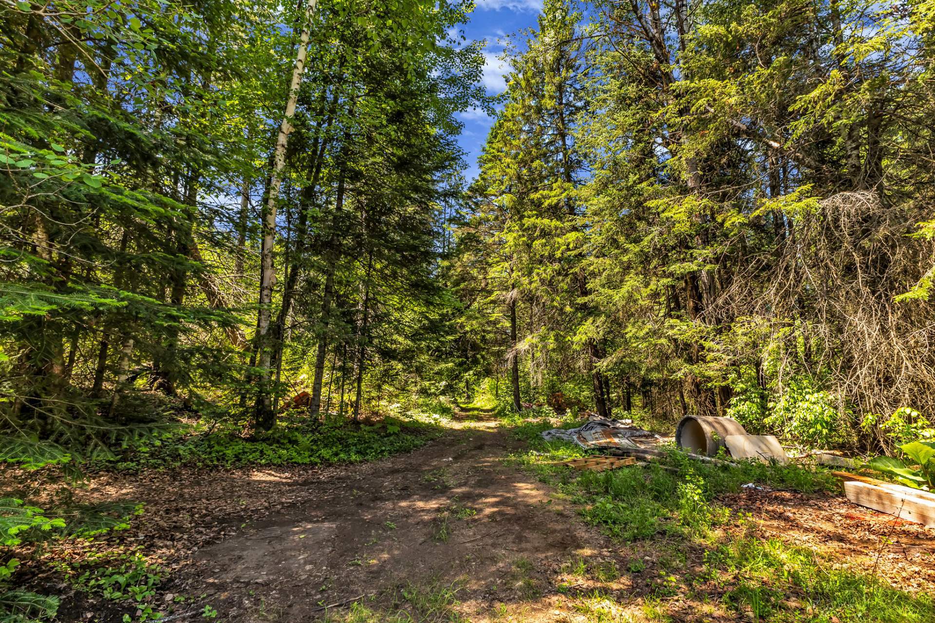 Wooded area