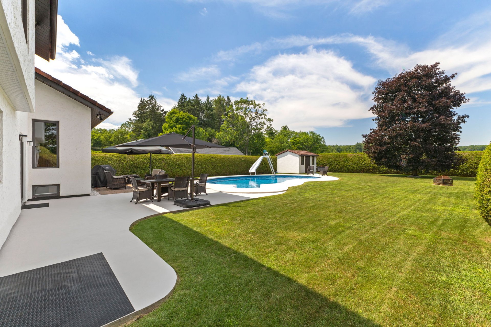 Backyard