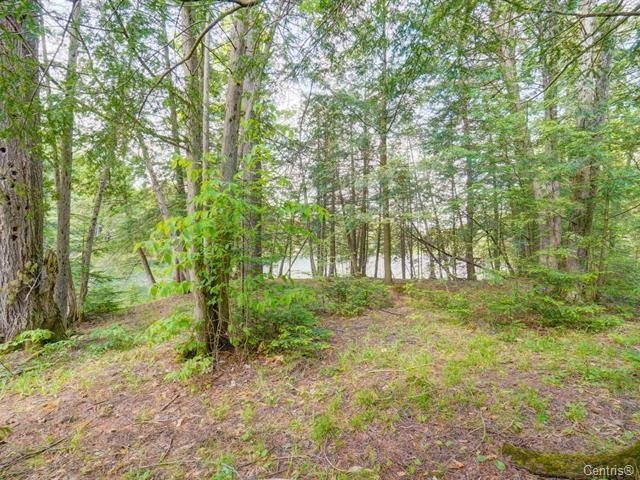 Land/Lot