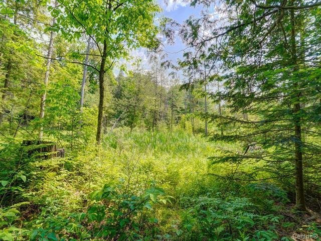 Land/Lot
