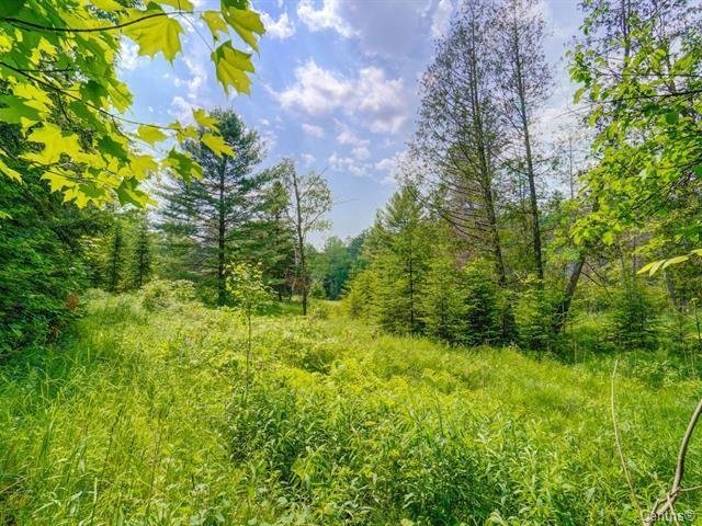 Land/Lot