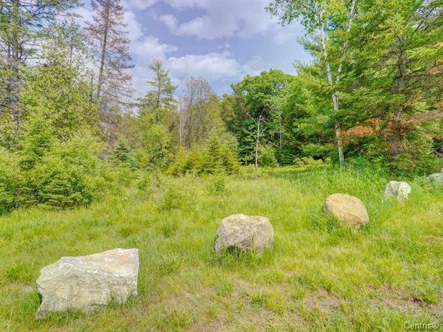 Land/Lot