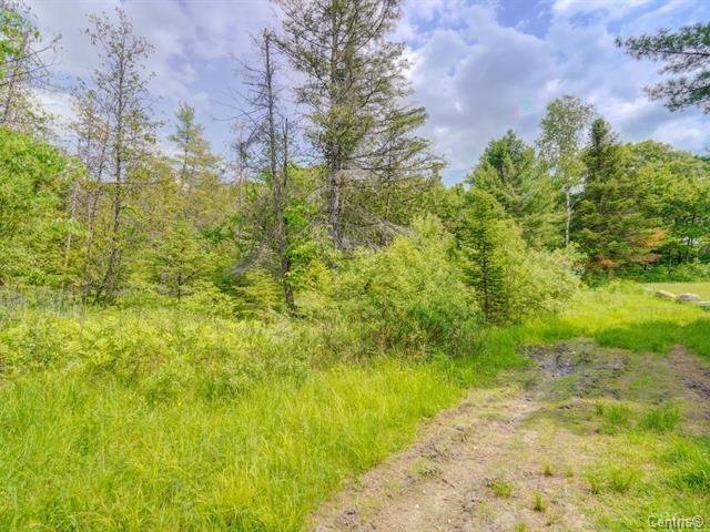 Land/Lot