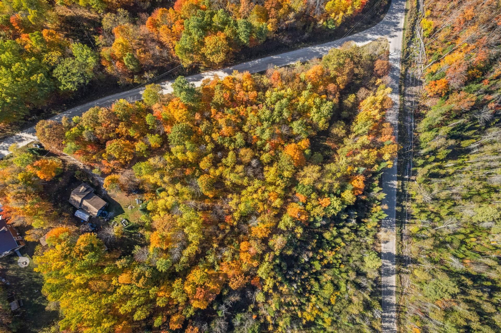Land/Lot