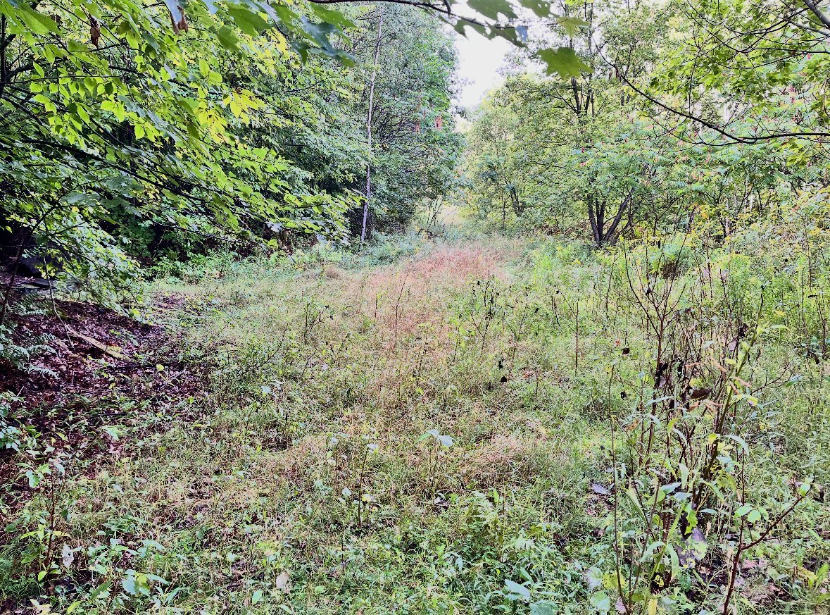 Land/Lot
