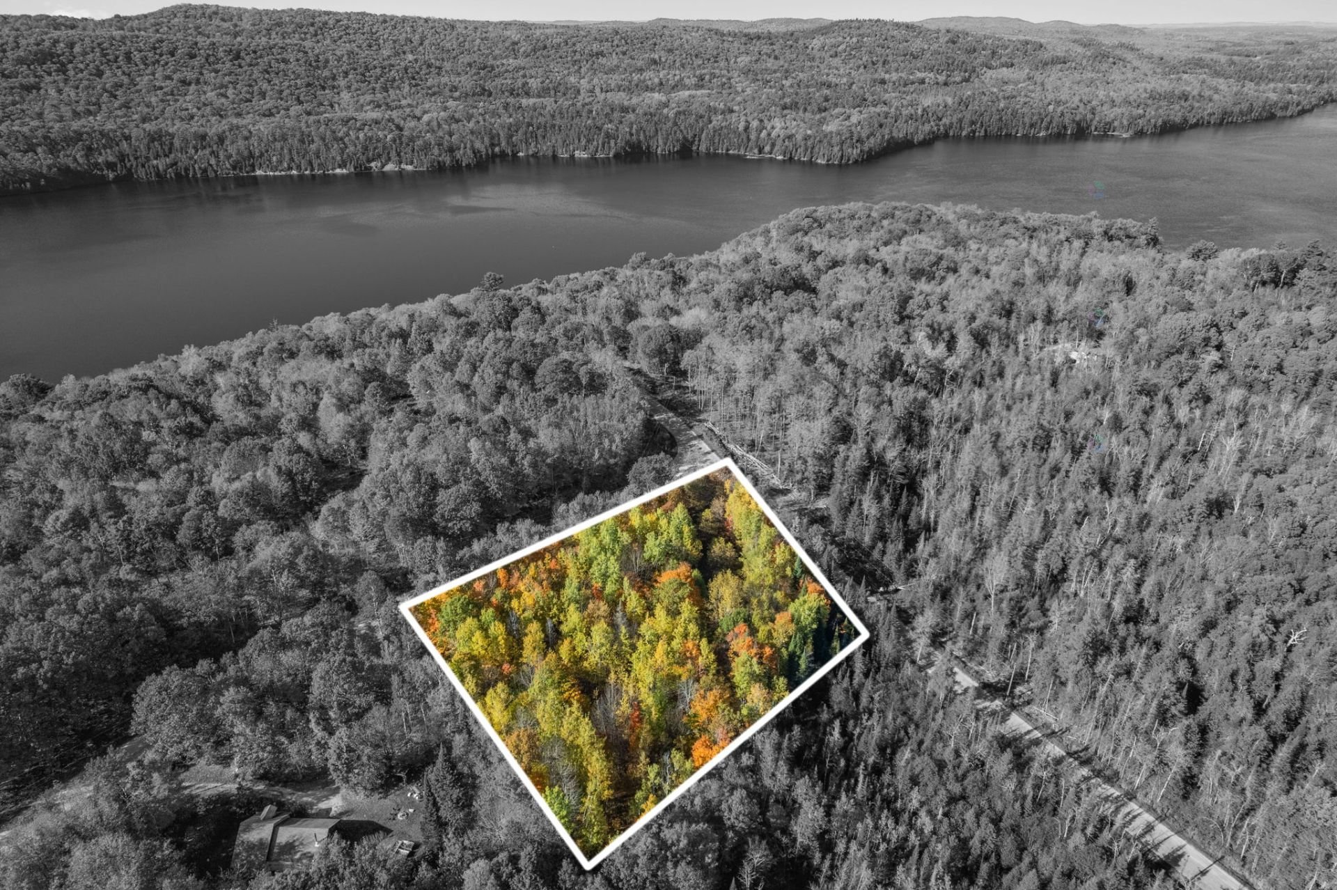 Land/Lot