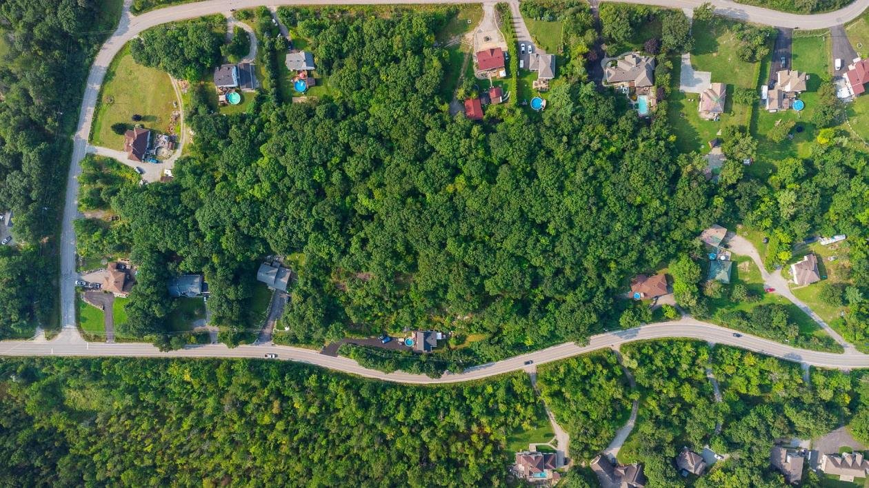 Aerial photo