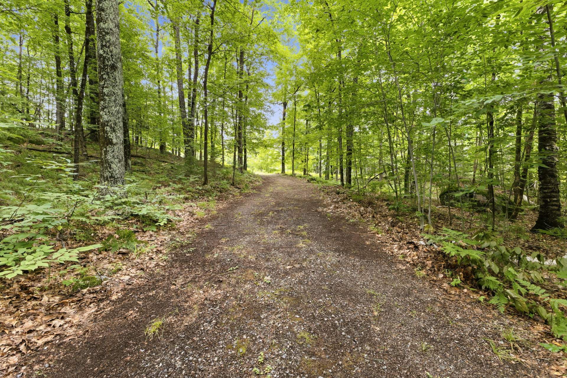 Terre/Terrain