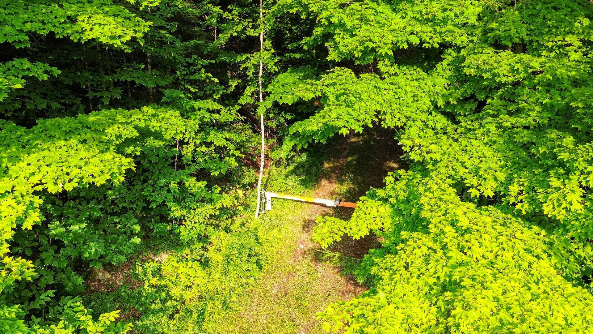 Aerial photo
