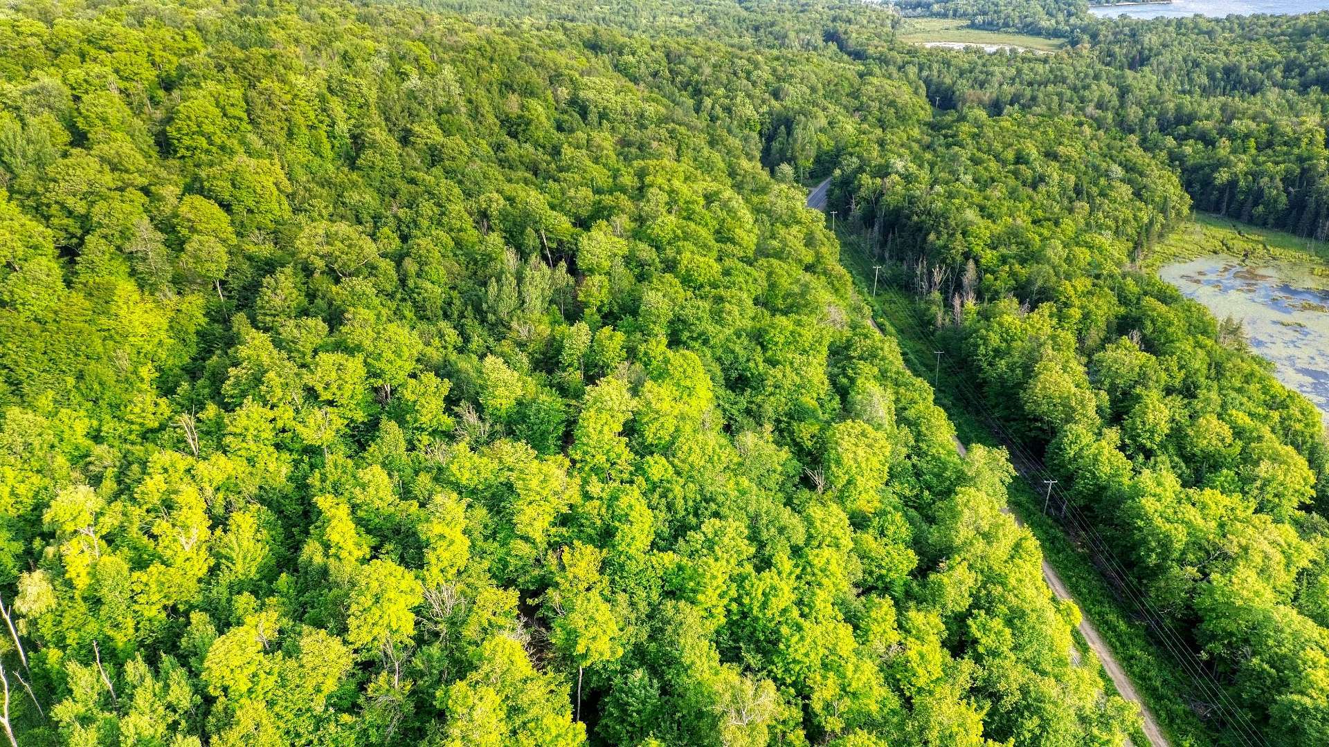 Aerial photo