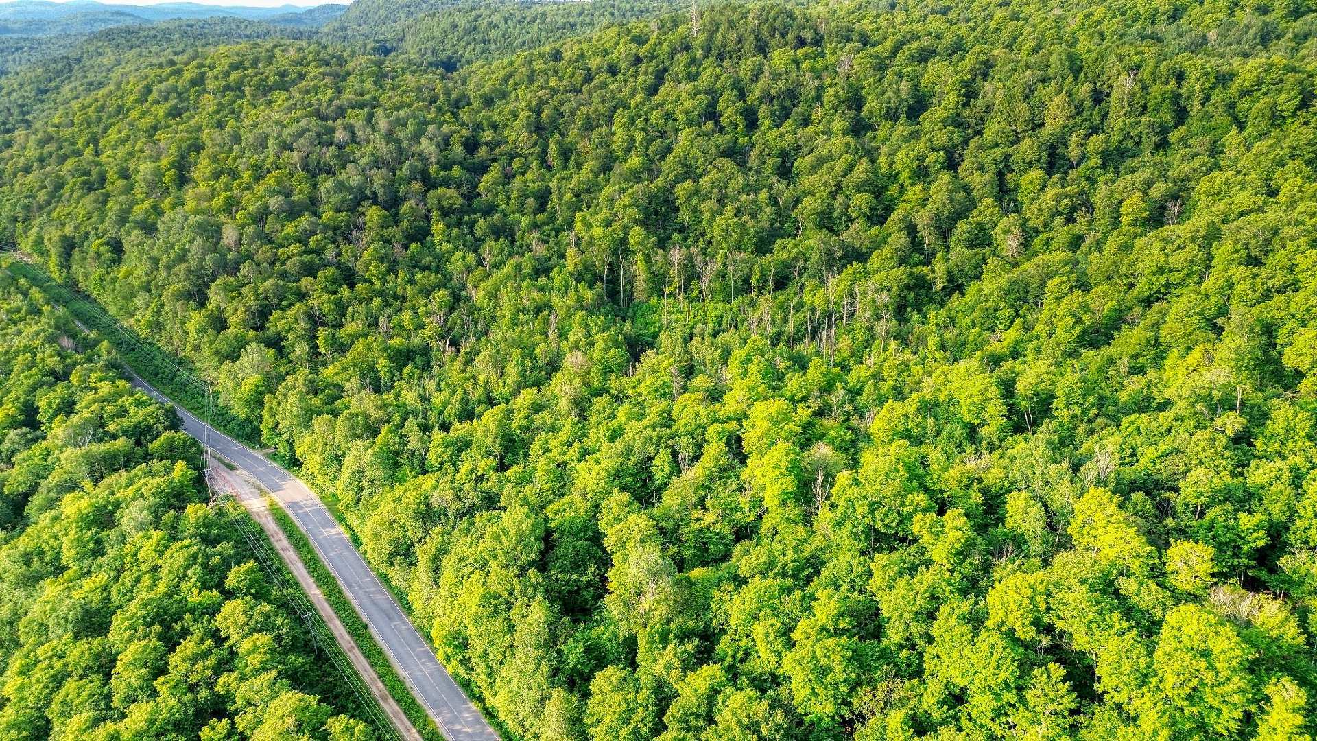 Aerial photo