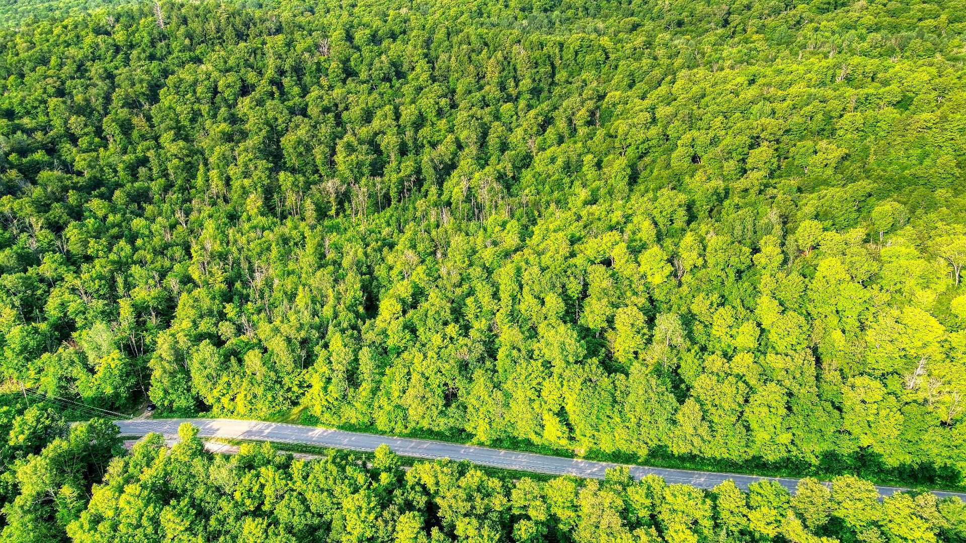 Aerial photo