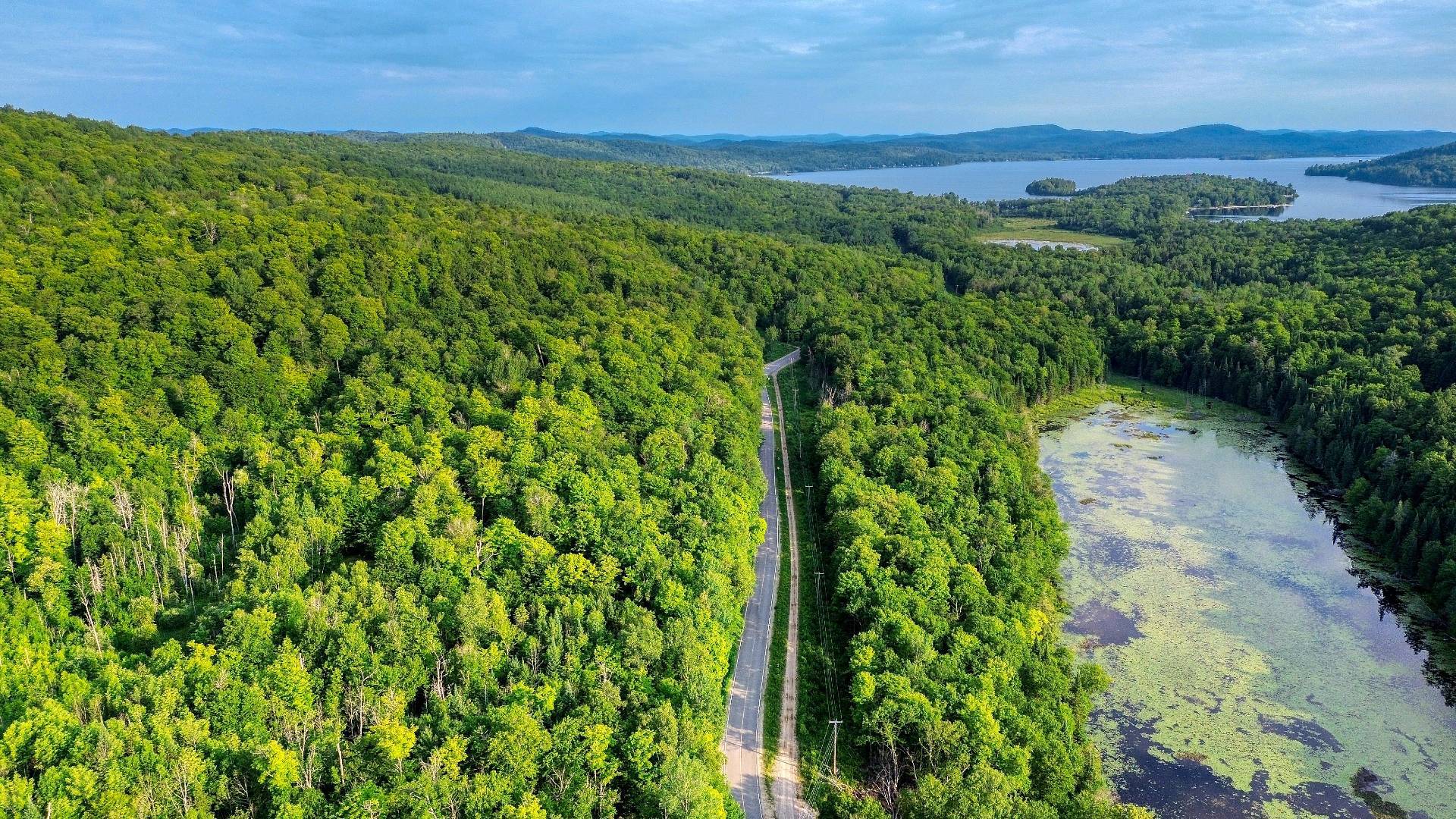 Aerial photo
