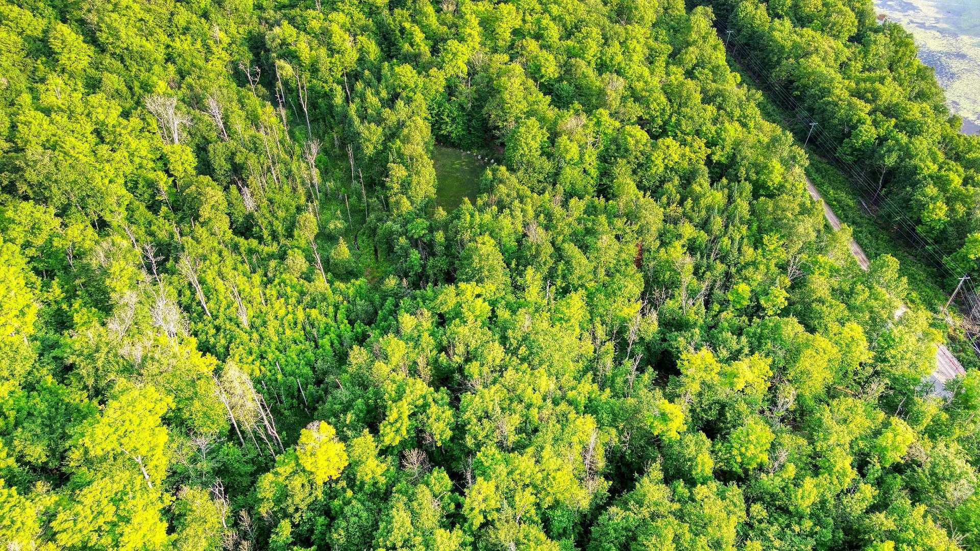 Aerial photo