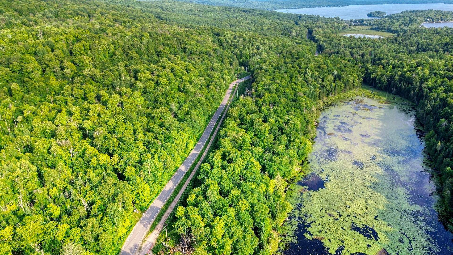 Aerial photo