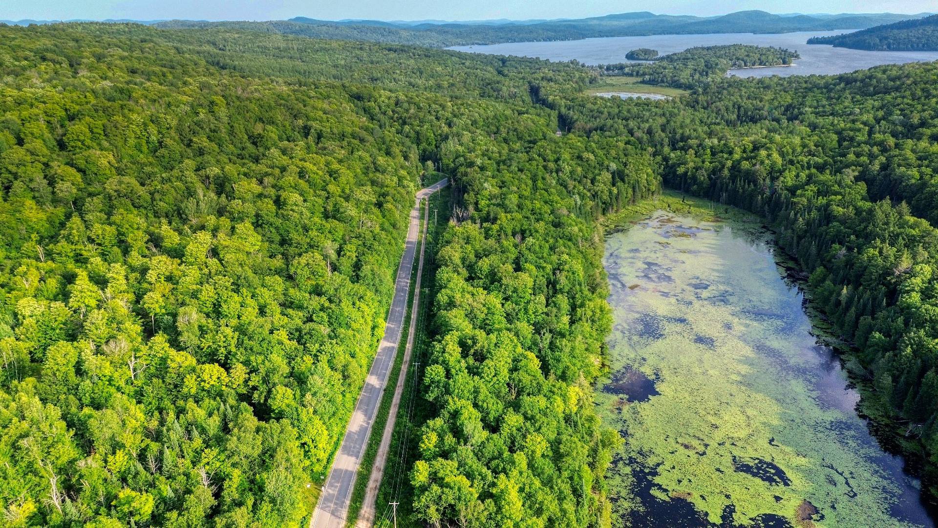 Aerial photo