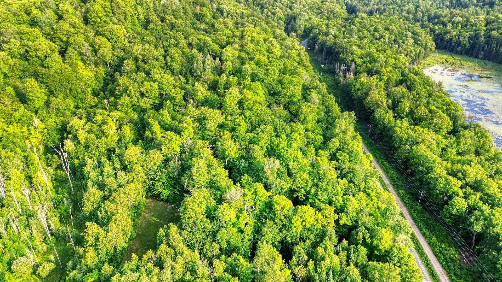 Aerial photo
