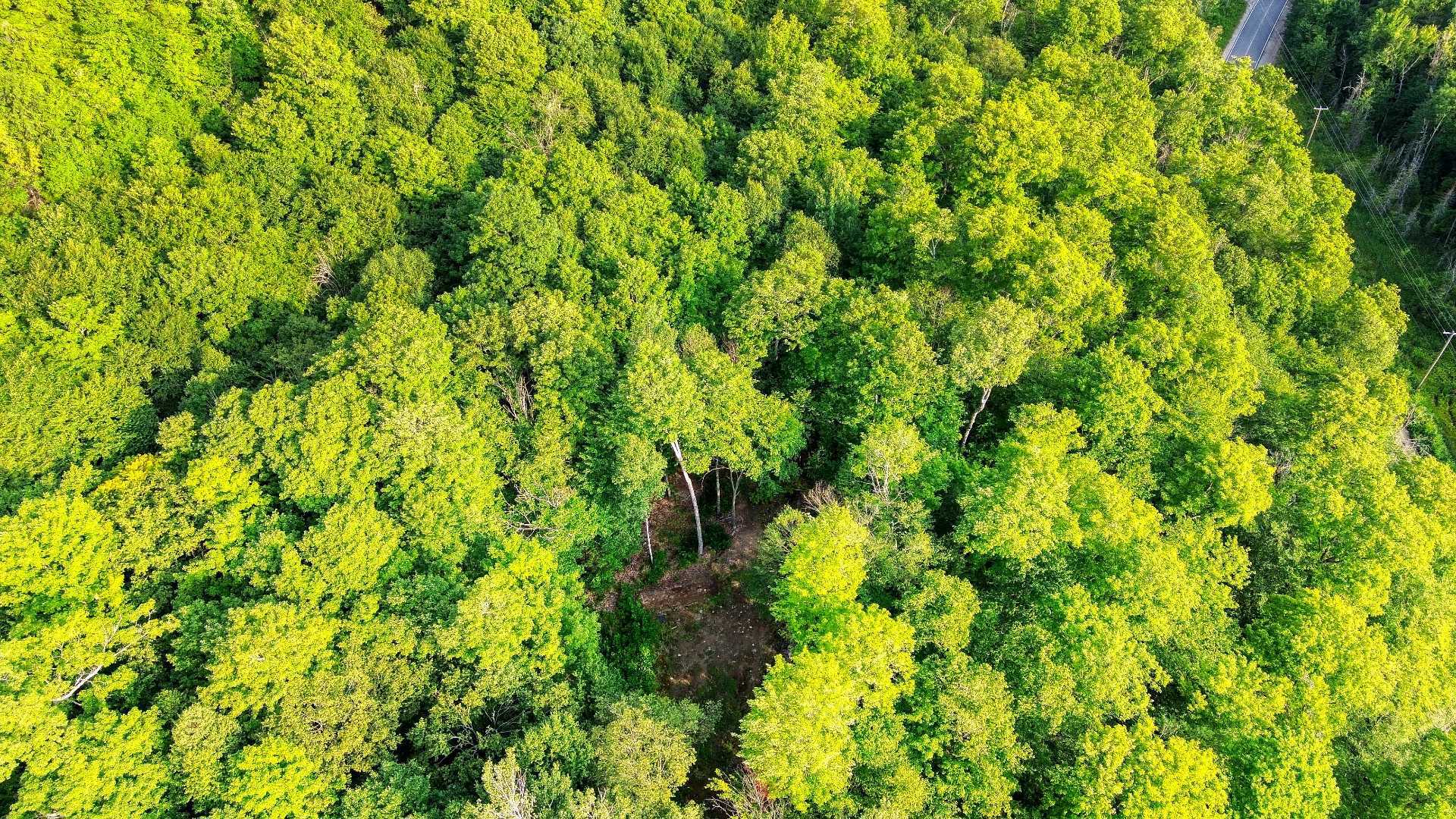 Aerial photo
