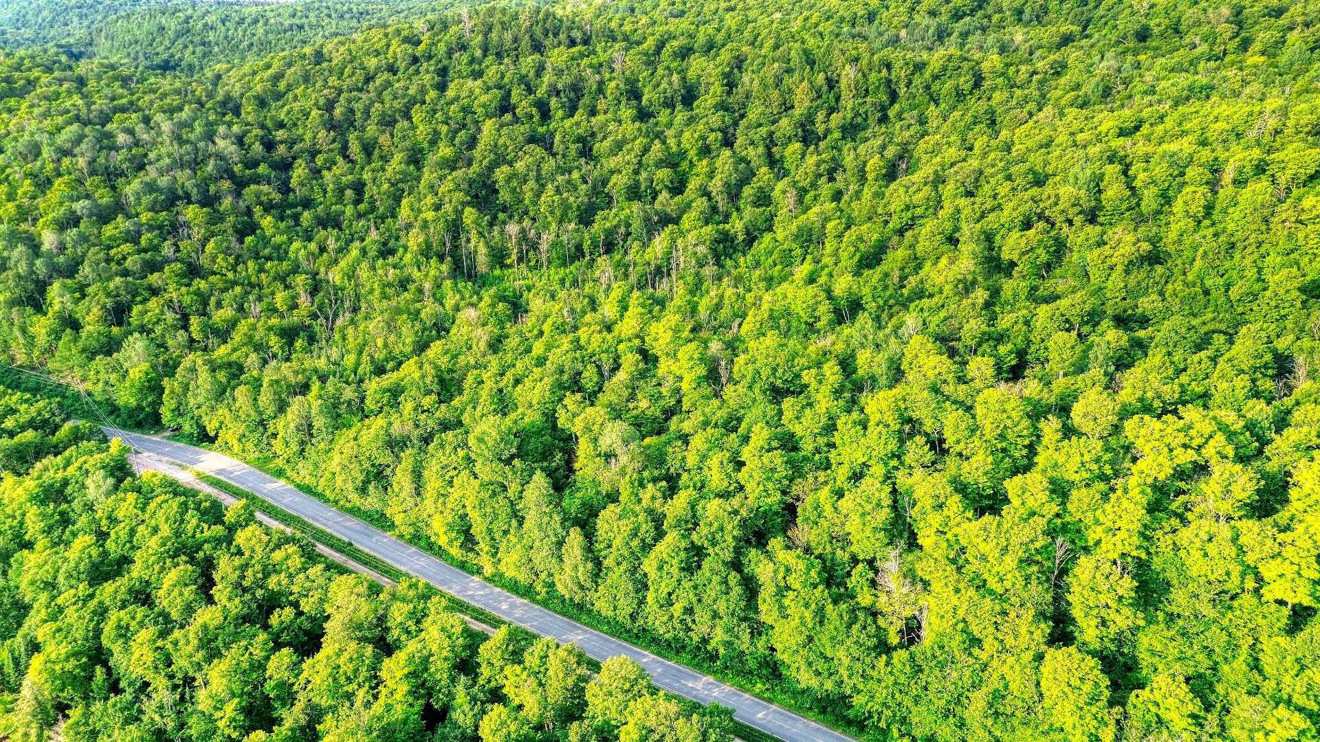 Aerial photo