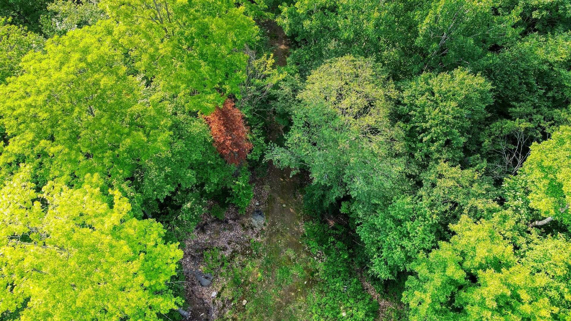 Aerial photo