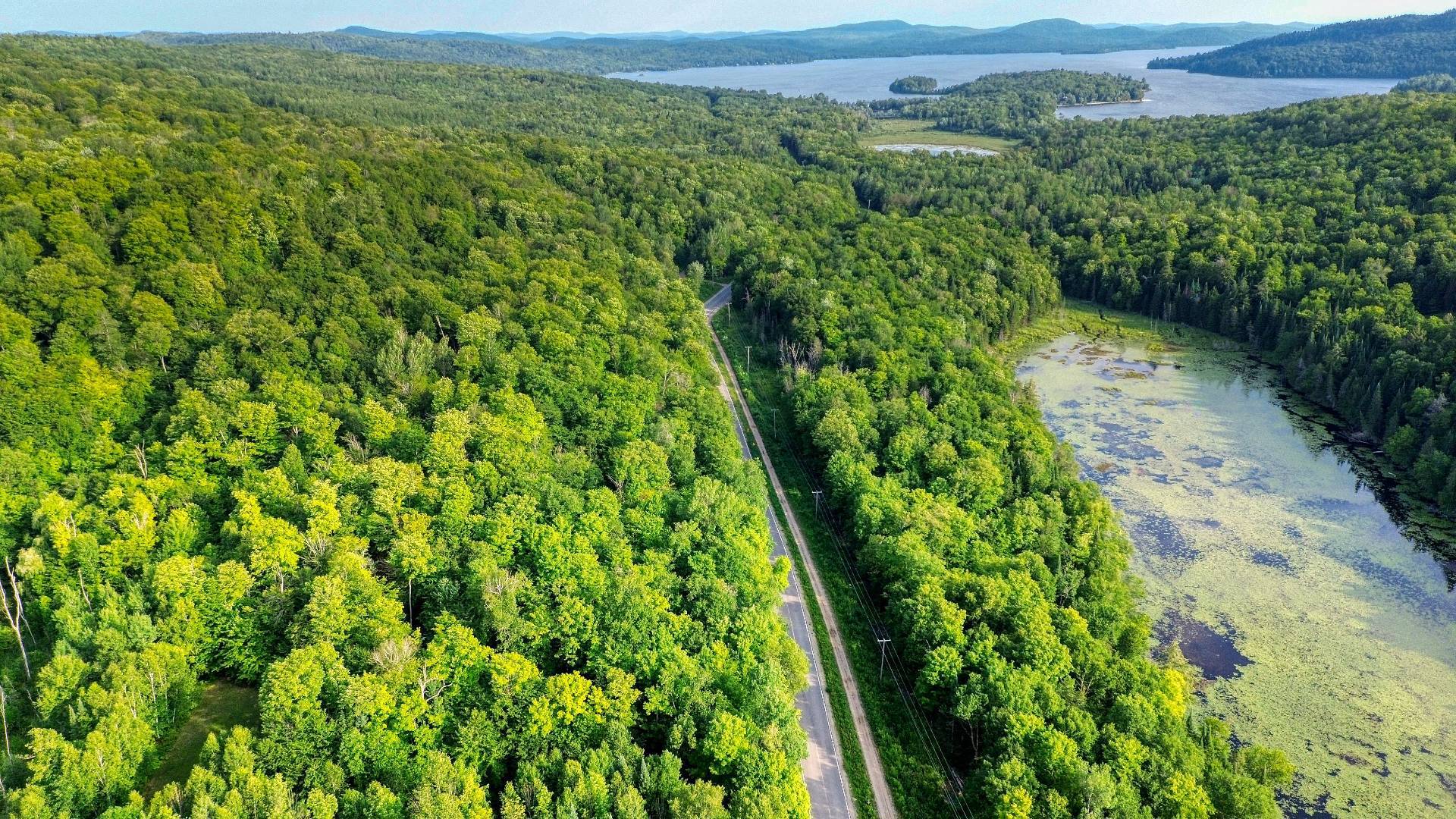 Aerial photo