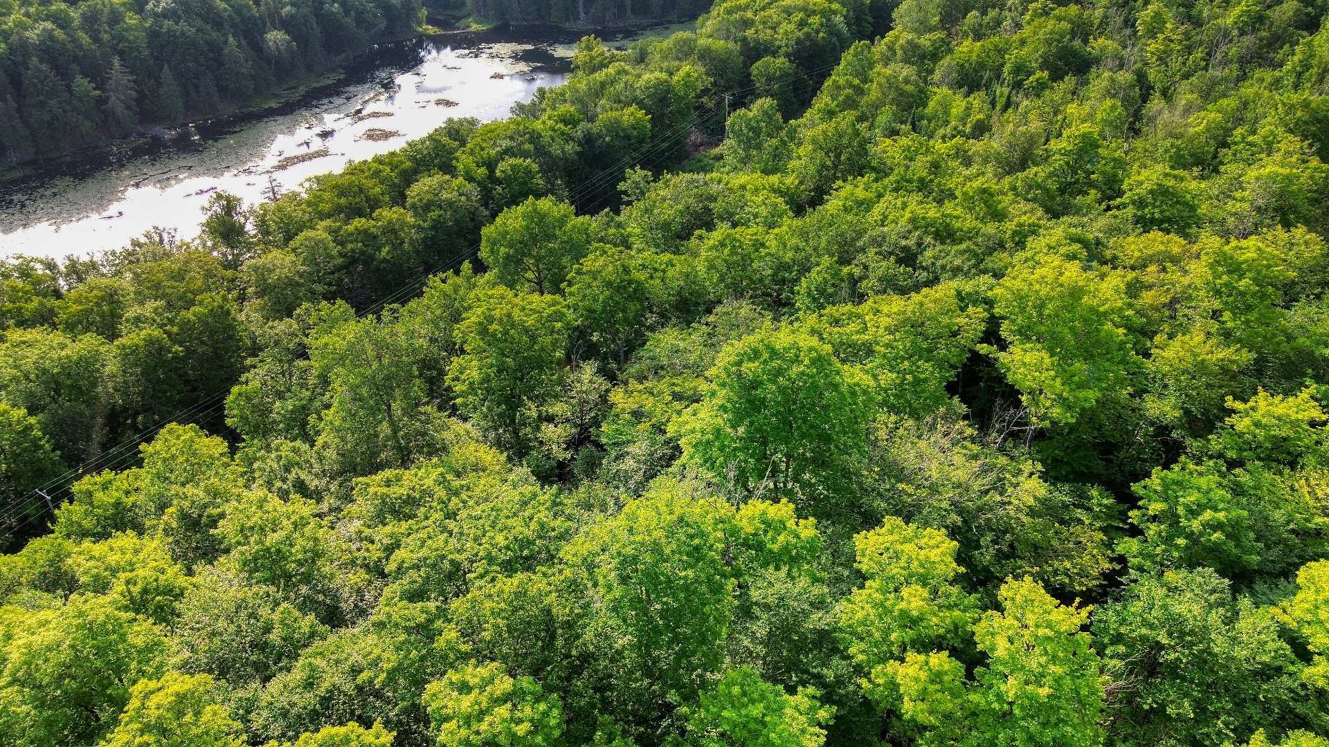Aerial photo