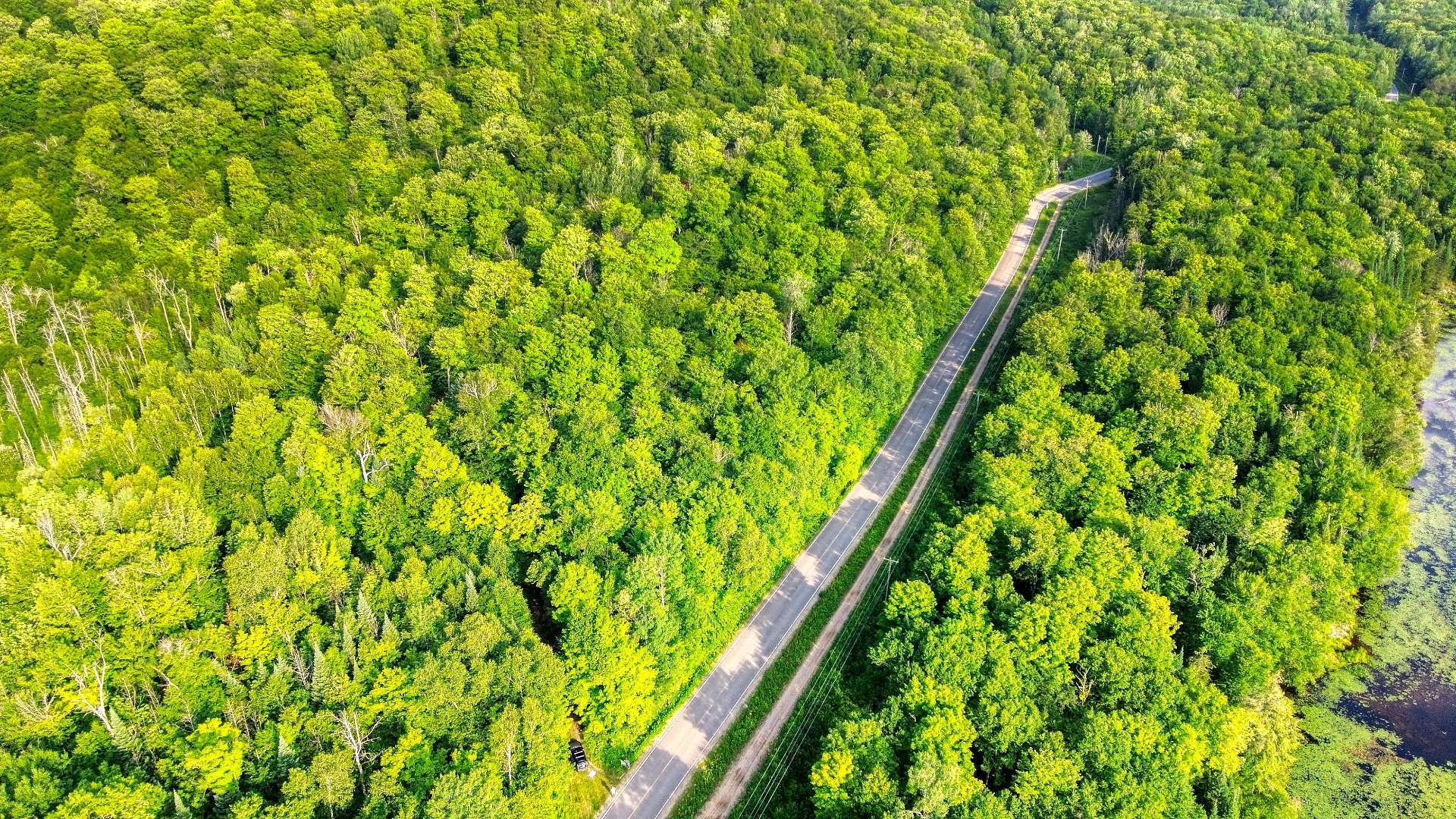 Aerial photo